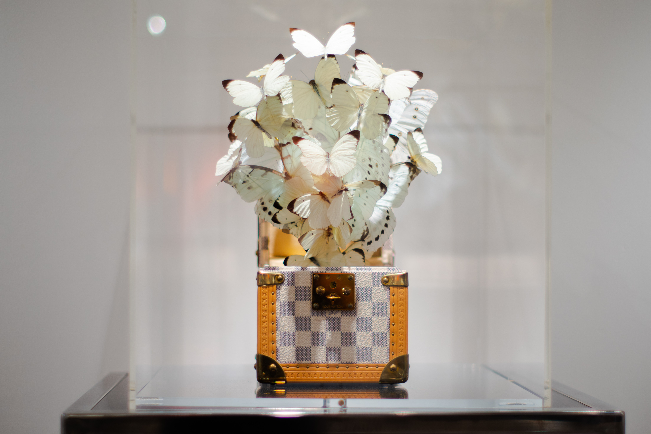 Contemporary Art Gallery. NYC