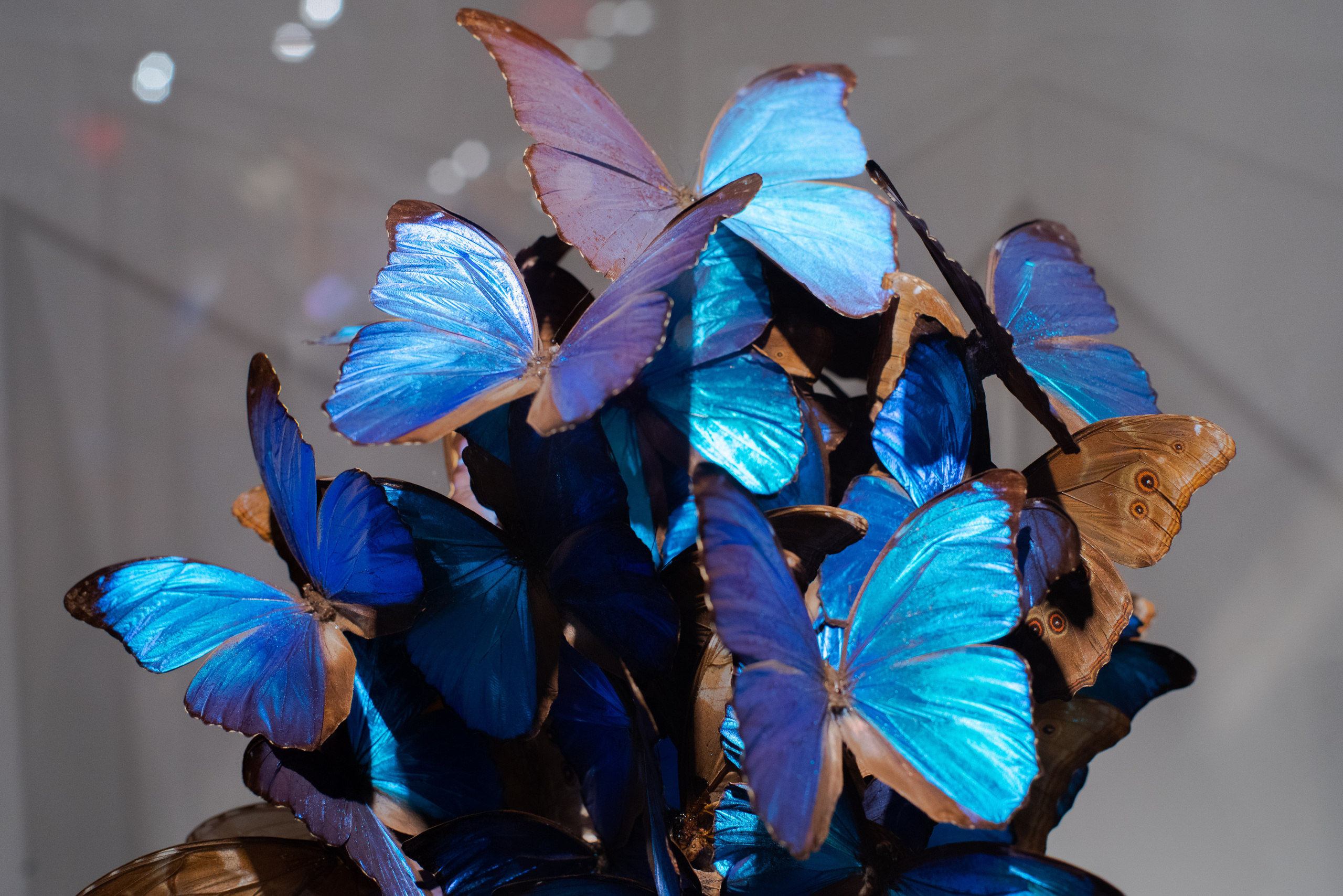 Contemporary Art Gallery. NYC