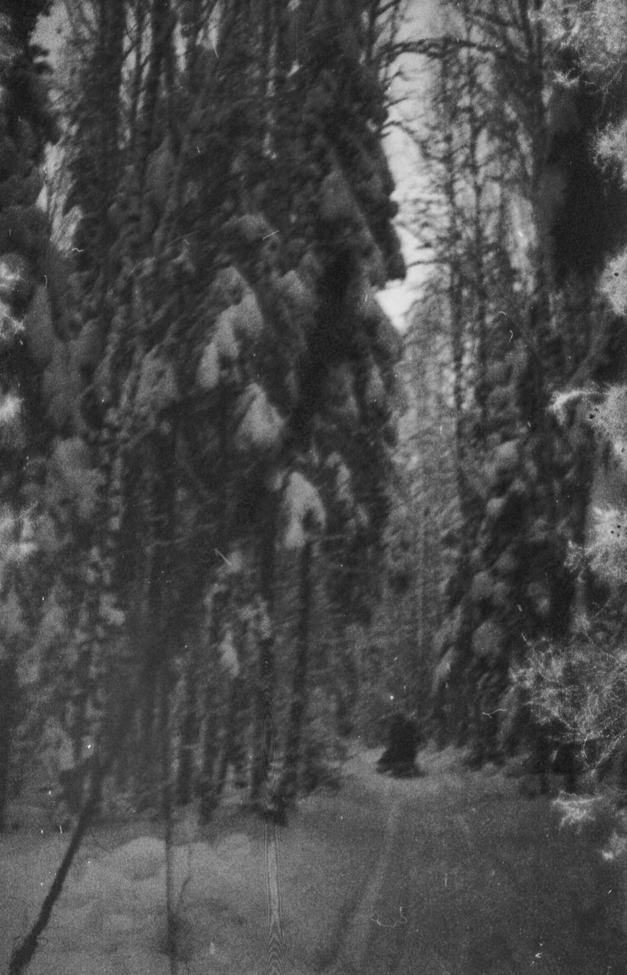 Татьяна Белякова — Фотохудожник | Концептуальная аналоговая фотография