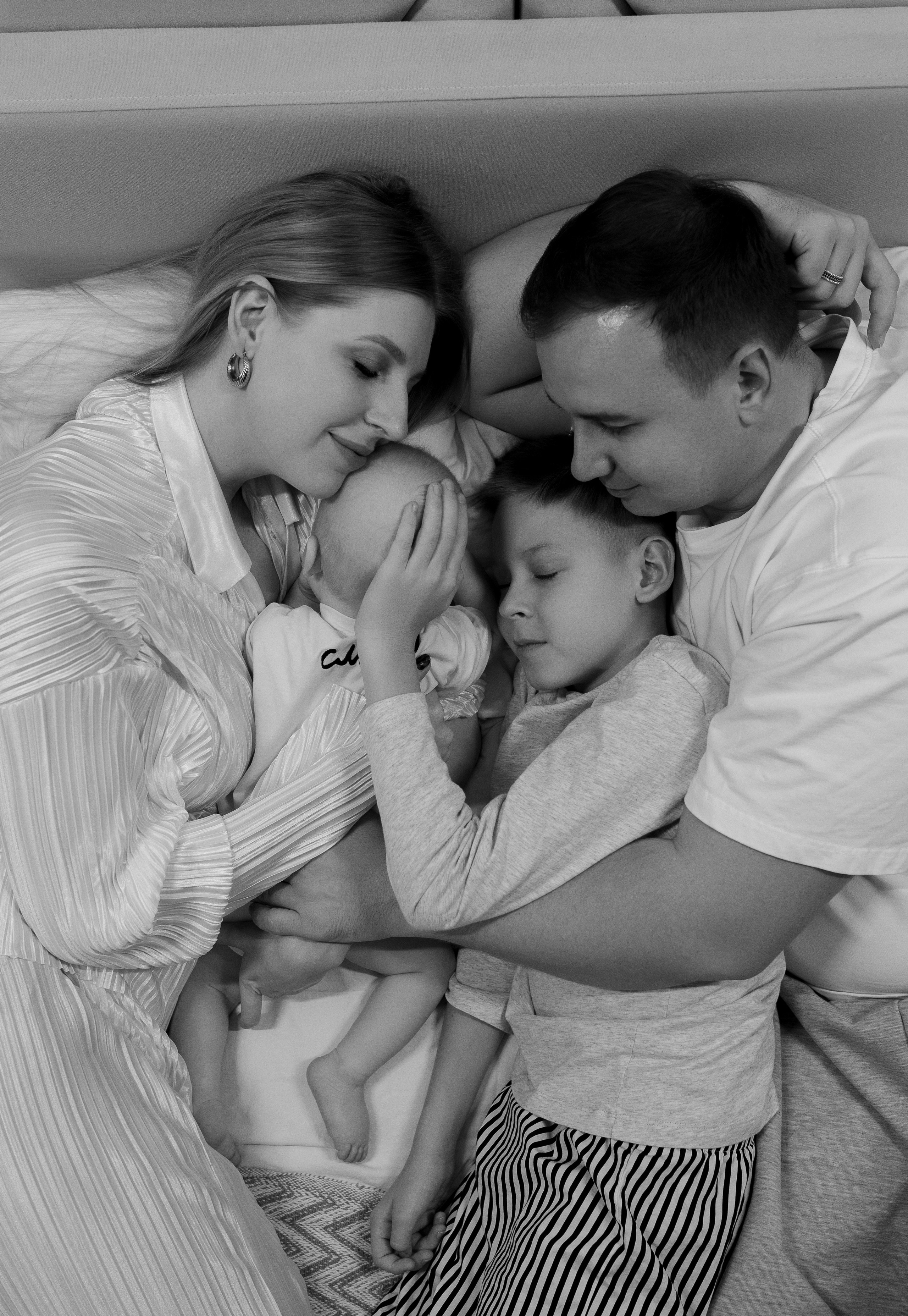 Домашняя история. Meryfotoidea