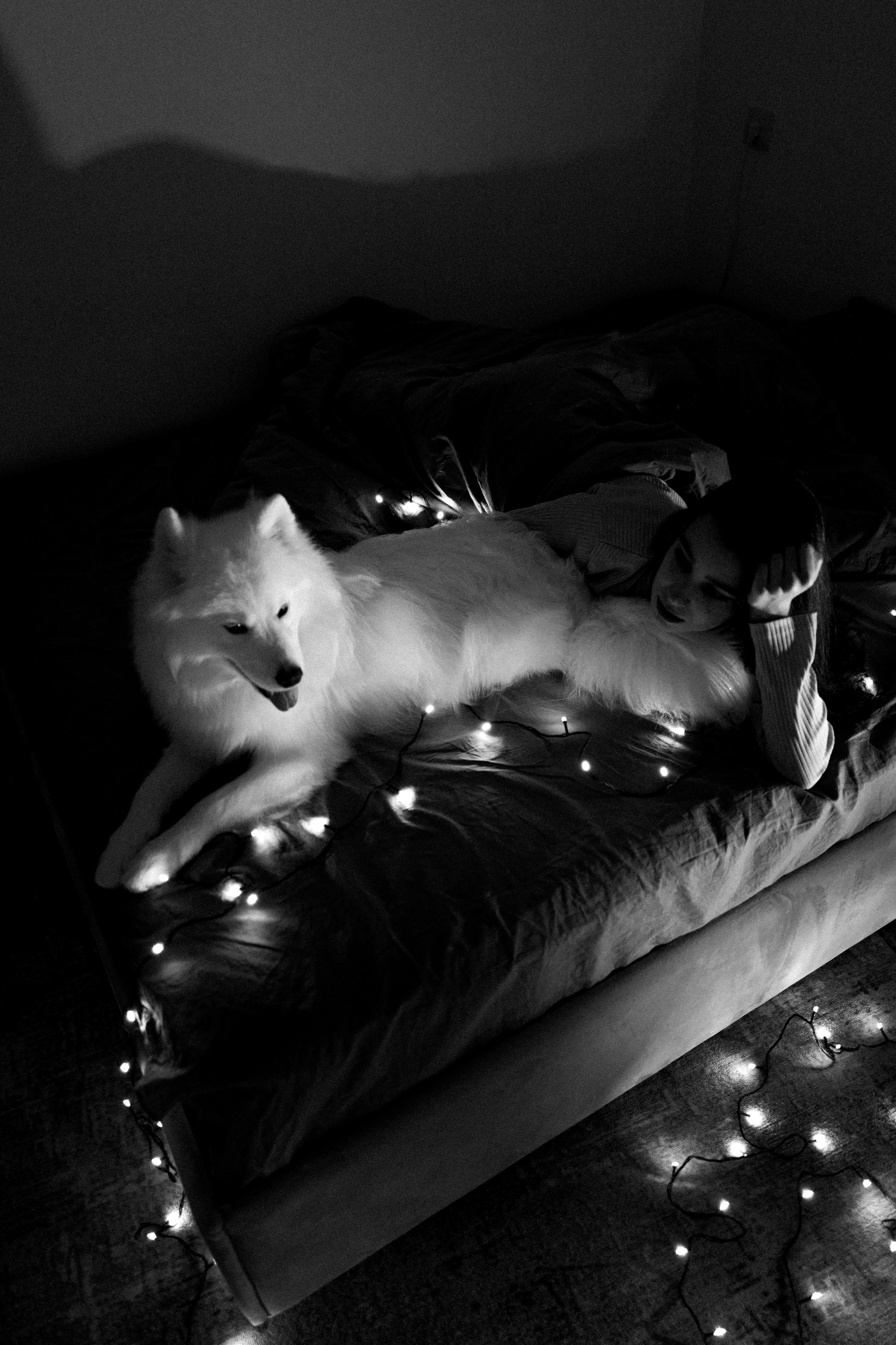 Katya and Fiona. Фотограф Евгения Добротворская