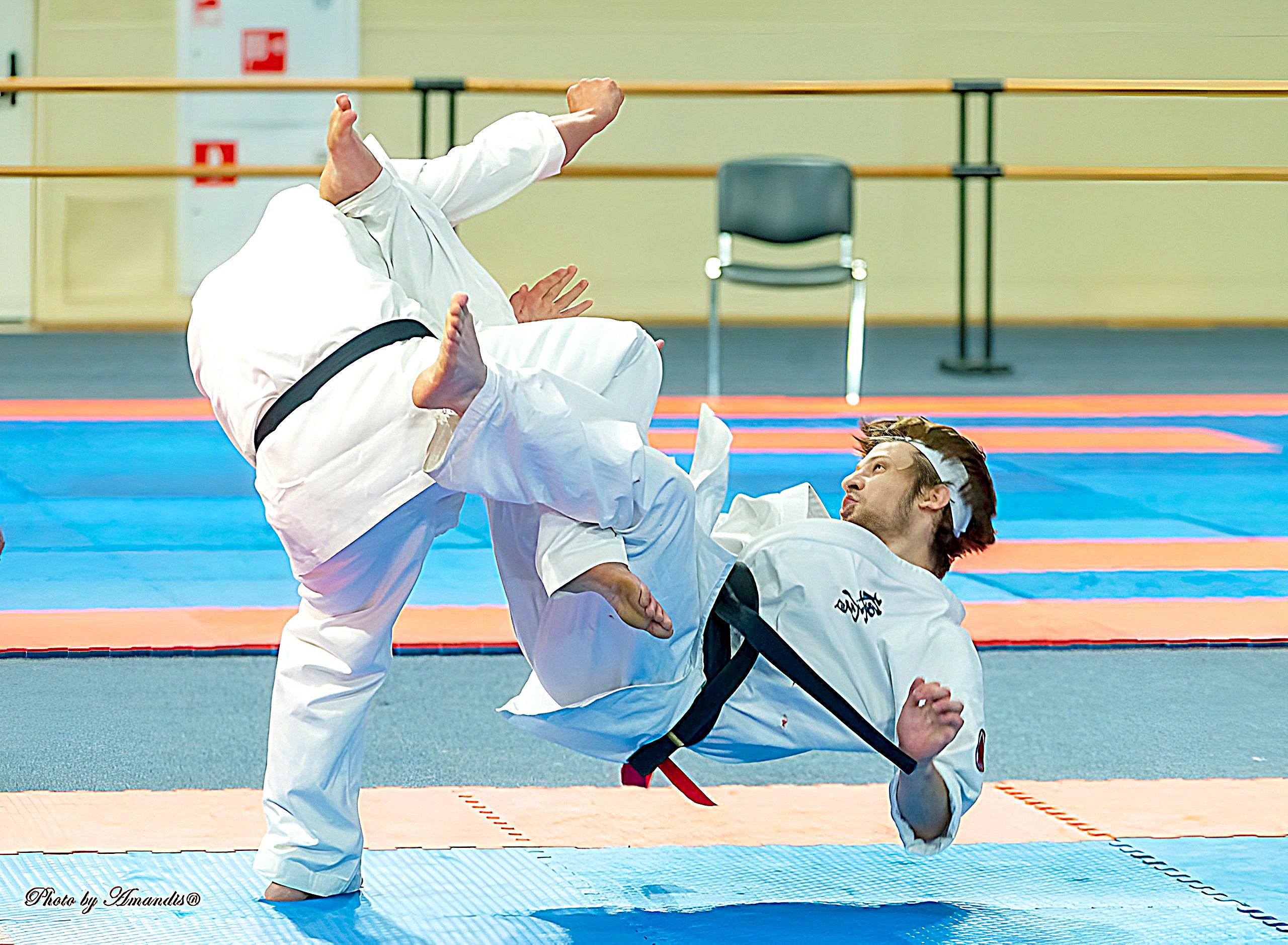 Первенство Московской области по Киокушин в СК «Жаворонки». Репортажная съемка в Москве и области. Анималистика