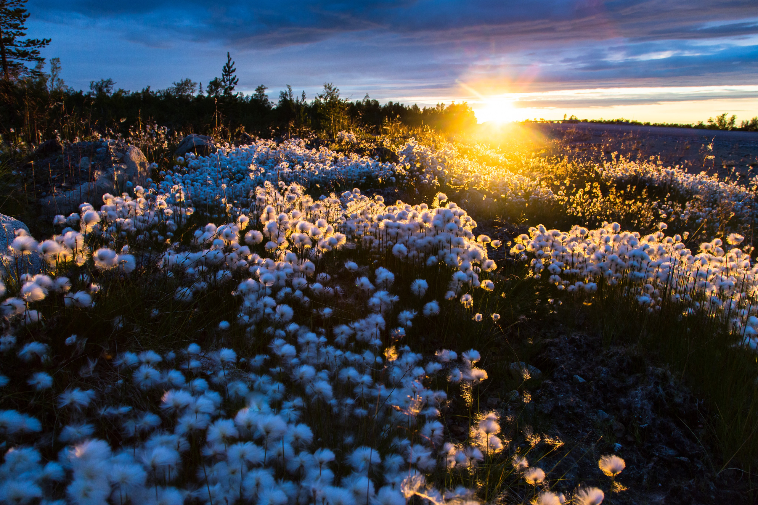Солнечные ночи Крайнего Севера. Пейзажи Крайнего Севера. Баренцево море, Рыбачий, Средний, Немецкий
