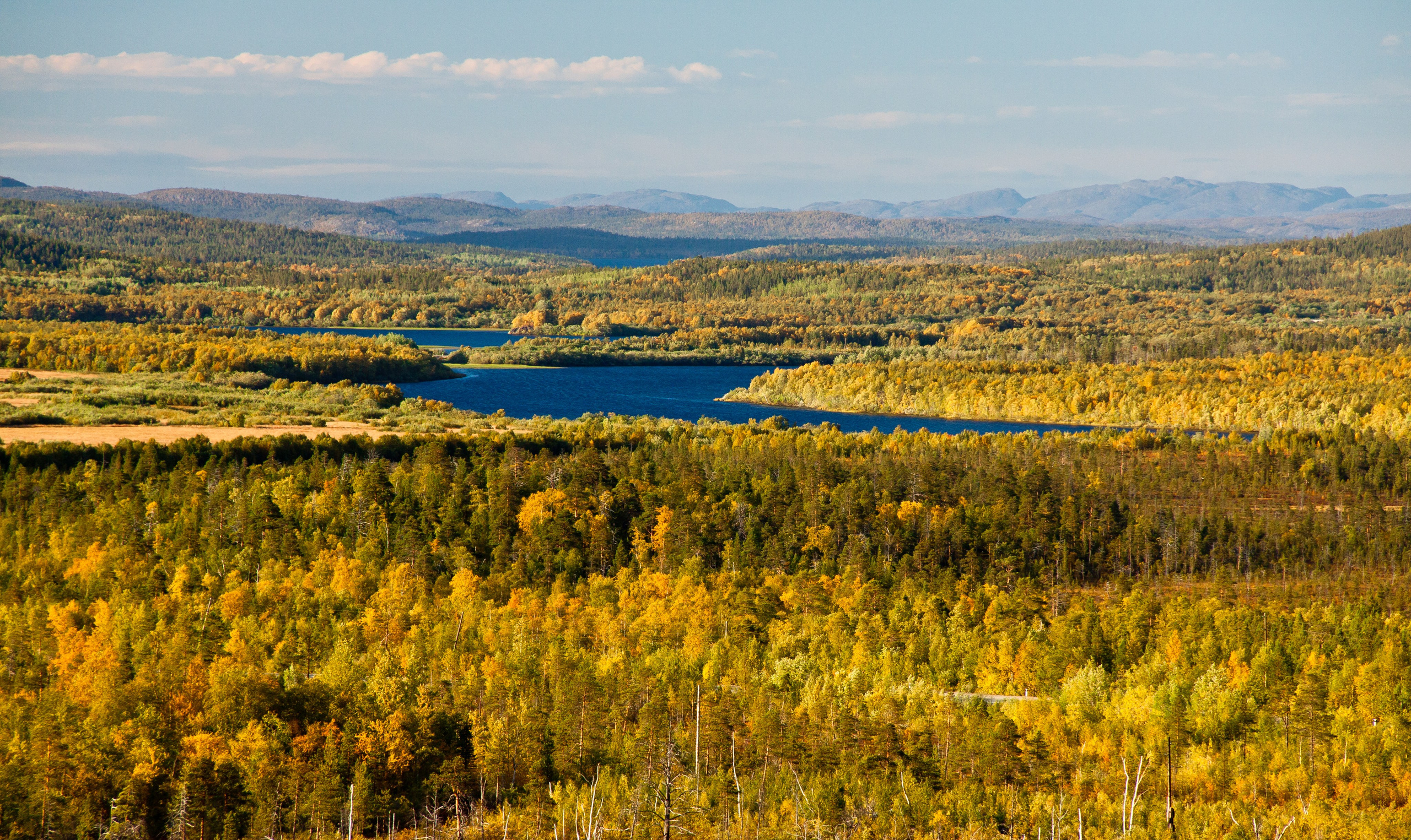 Тундра Лес и Сопки. Пейзажи Крайнего Севера. Баренцево море, Рыбачий, Средний, Немецкий