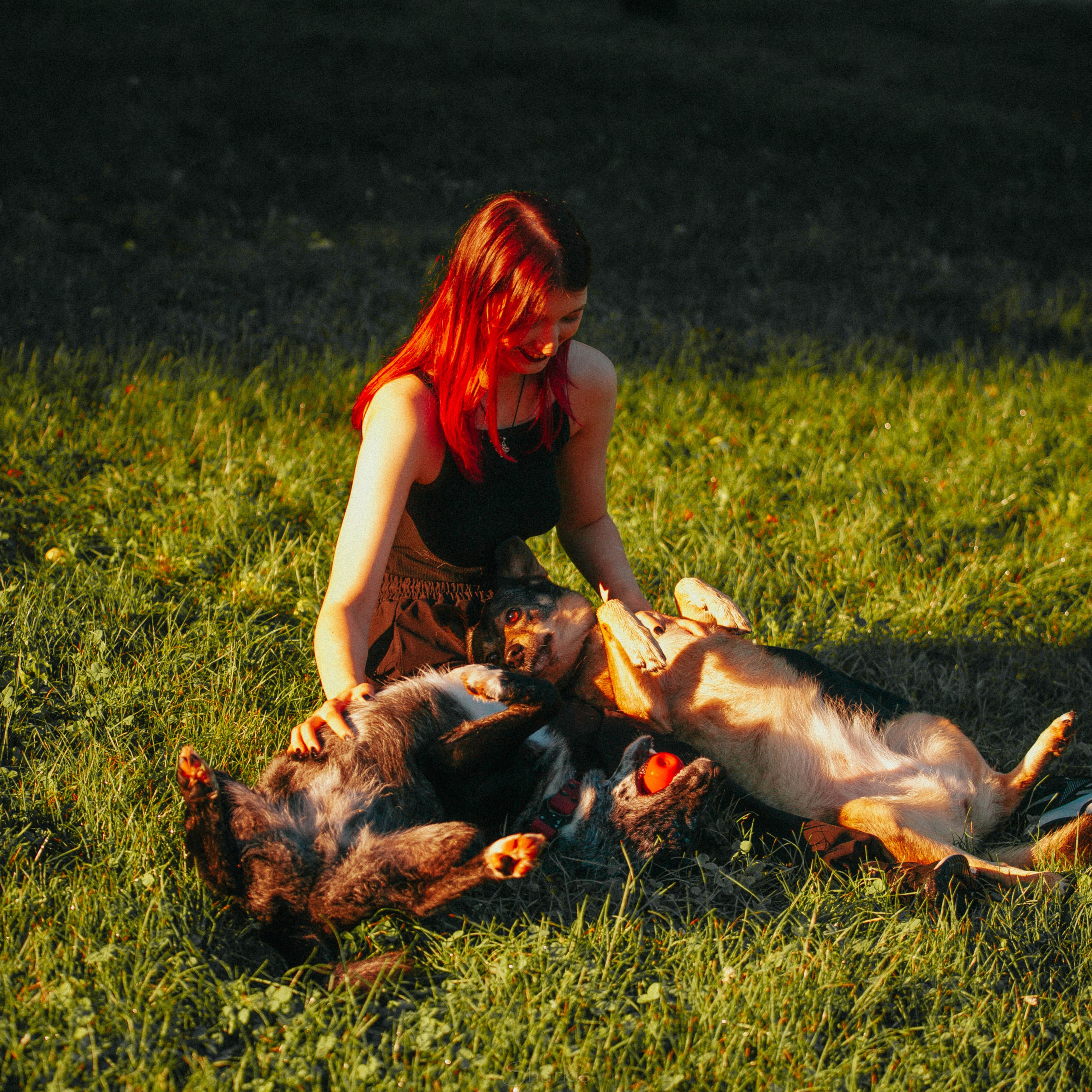 Вега и Гриша. Главная