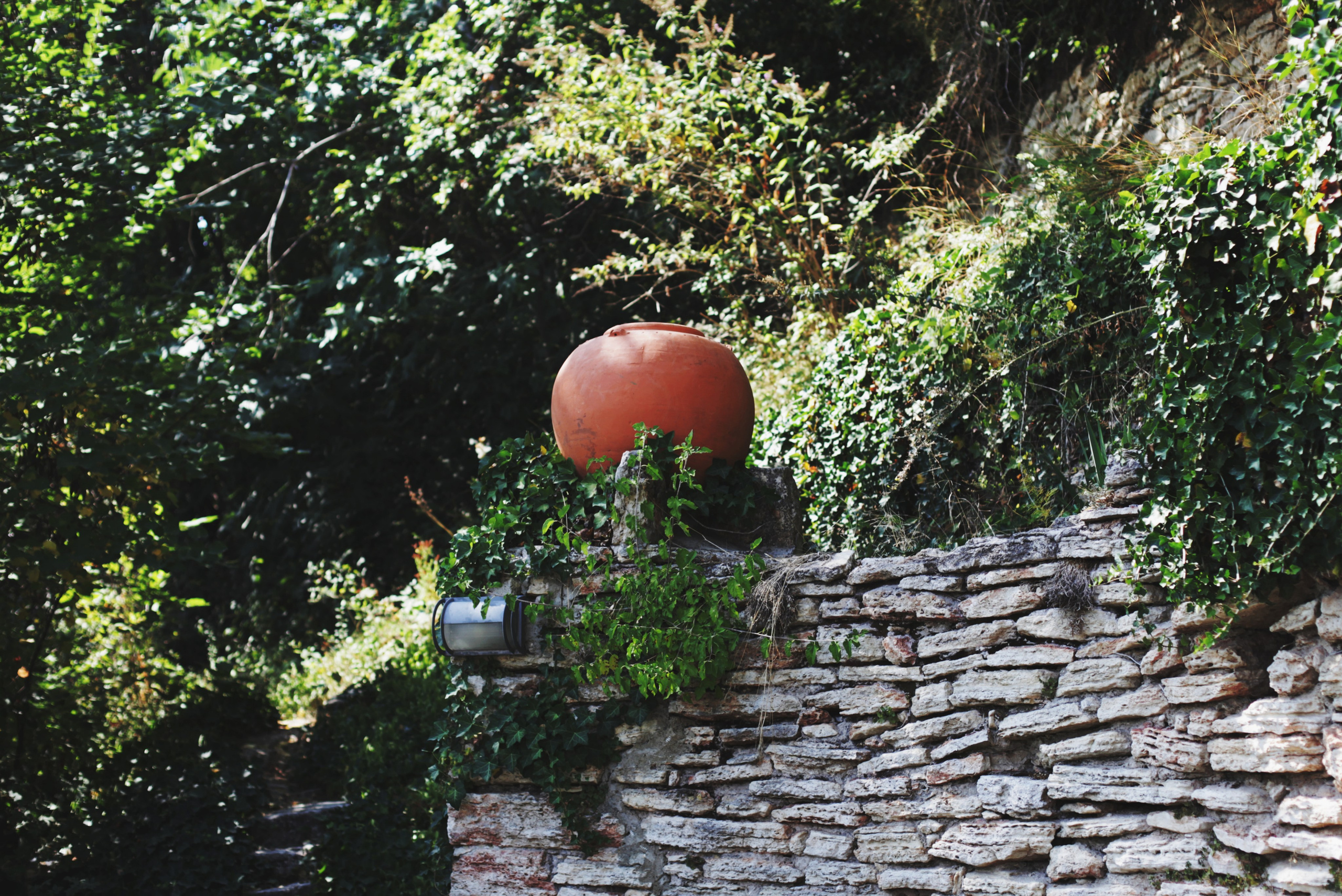 Болгария. Аня Степанова