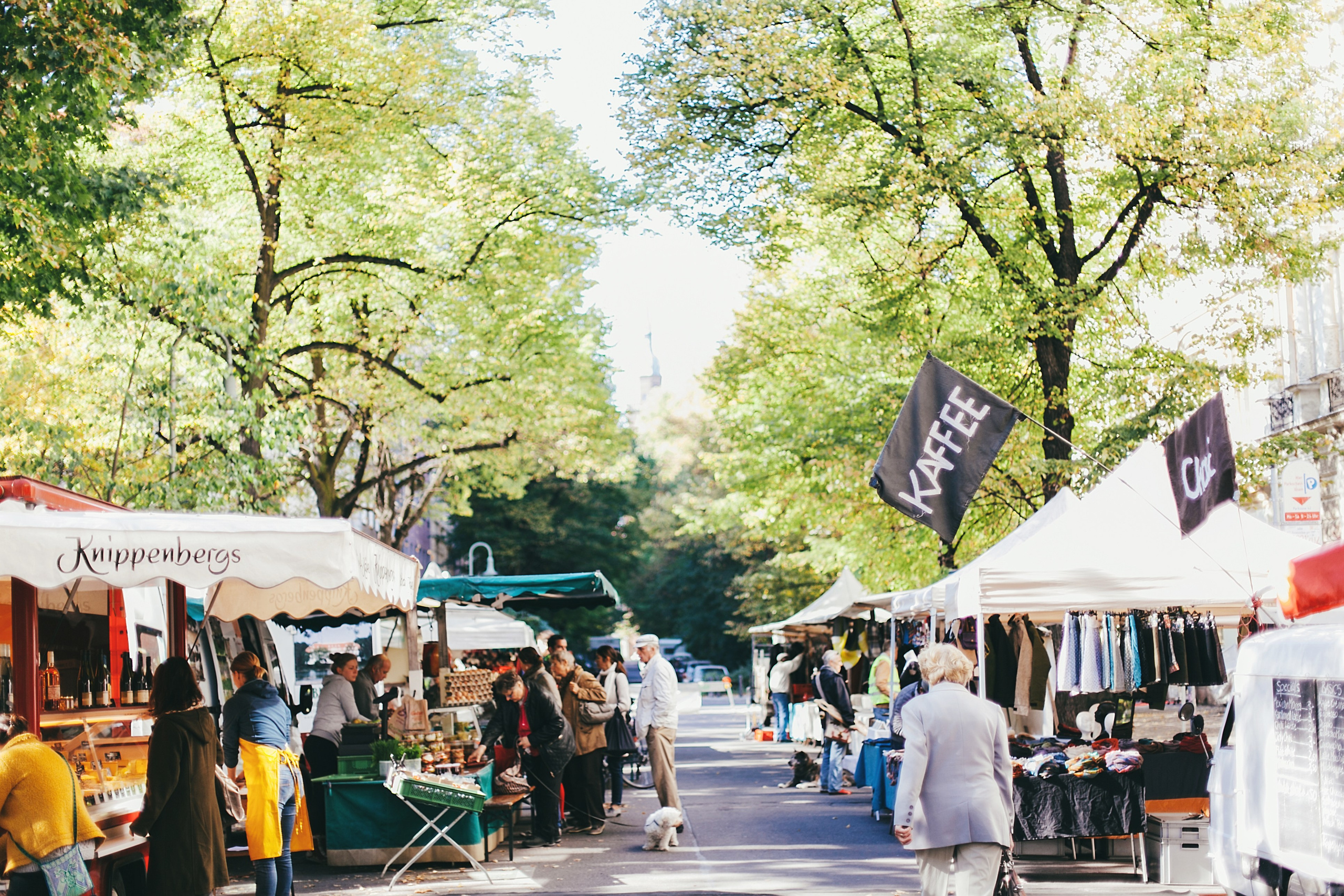 Берлин. Аня Степанова