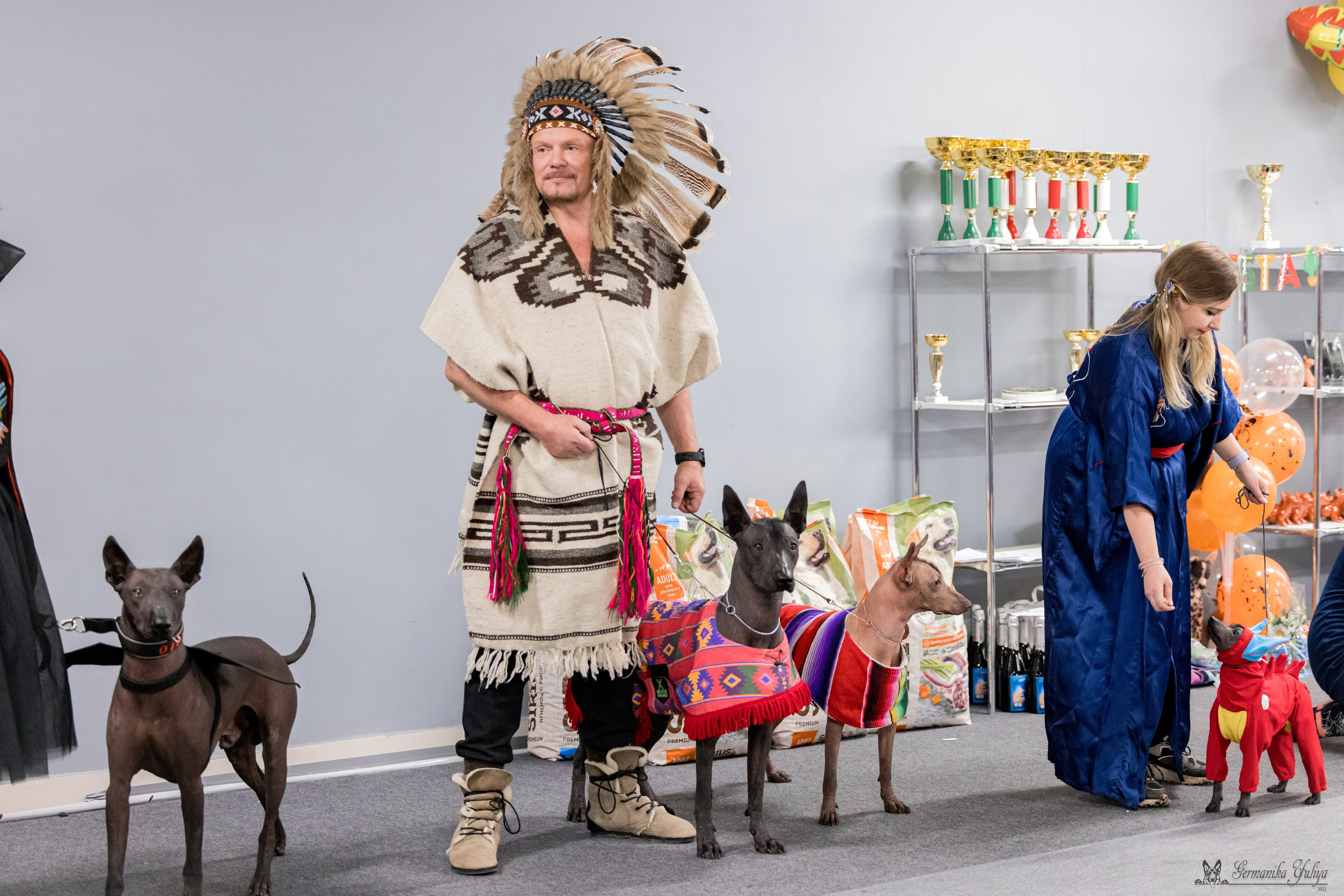 Сфера 29.10,Крокус 4.11,Сфера 12.11.2023. Фотограф-анималист Юлия Германика