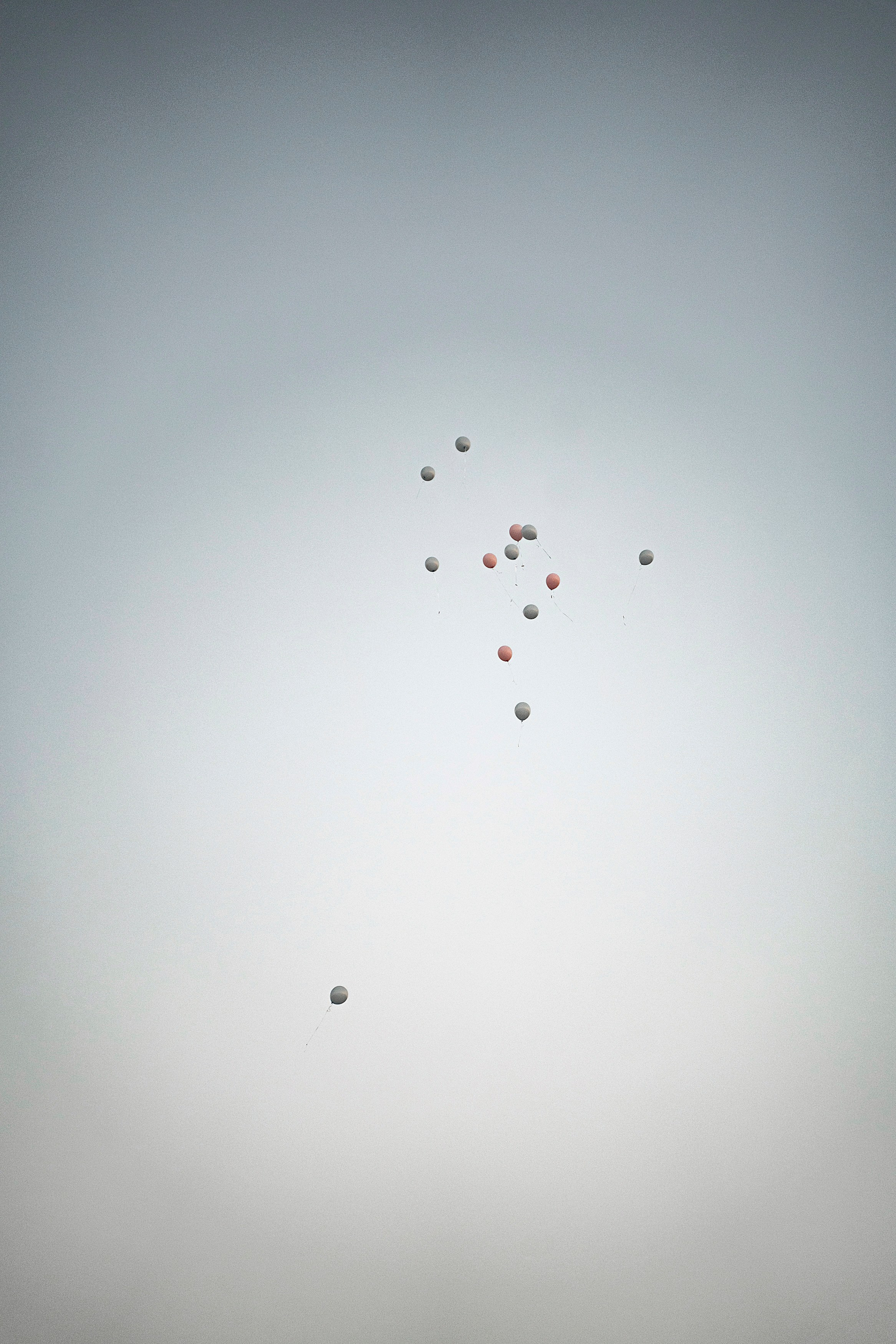 Гендер пати. Фотограф Казань