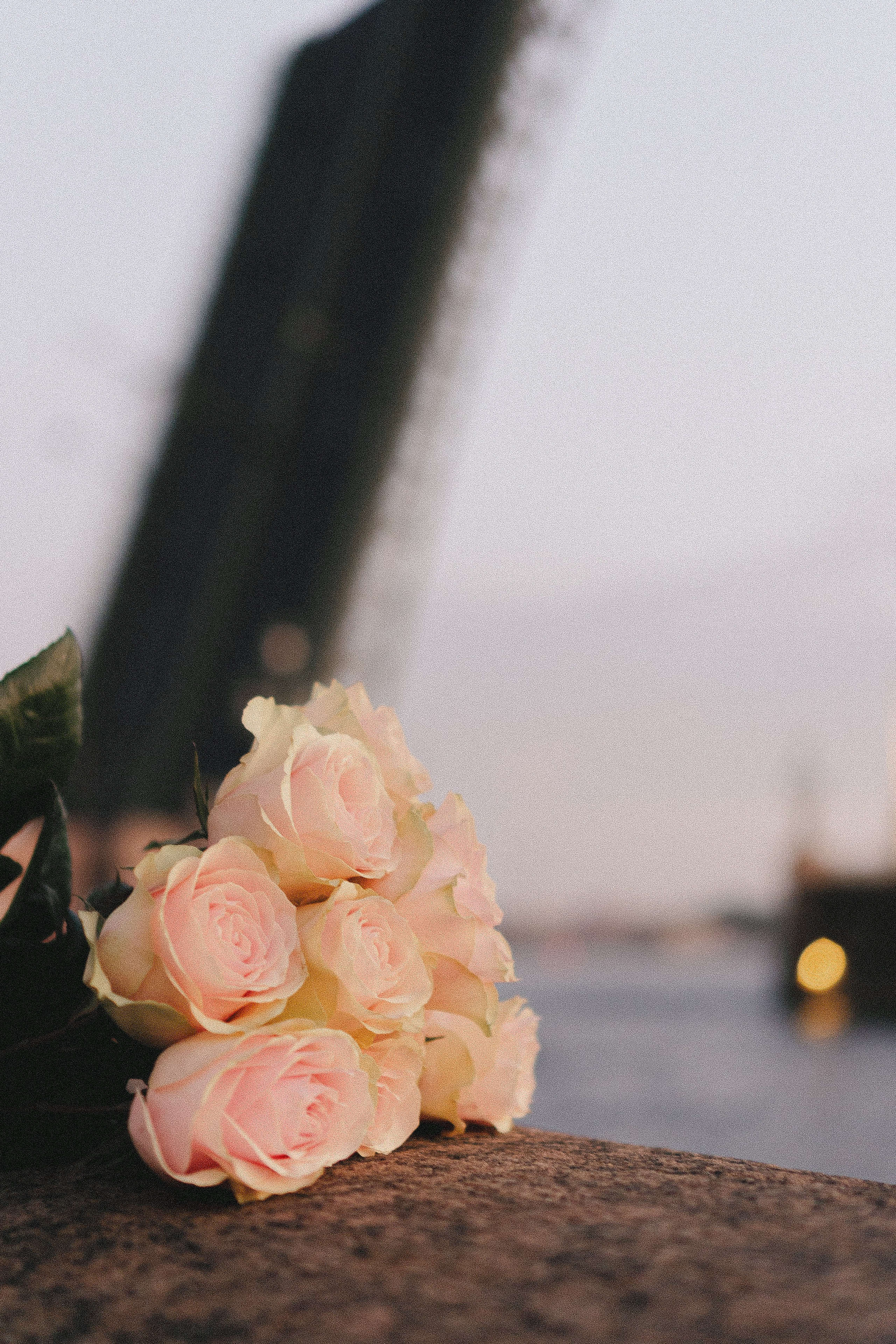 РАССВЕТНАЯ ИСТОРИЯ. Профессиональный фотограф, Санкт-Петербург — Виктория Богомолова