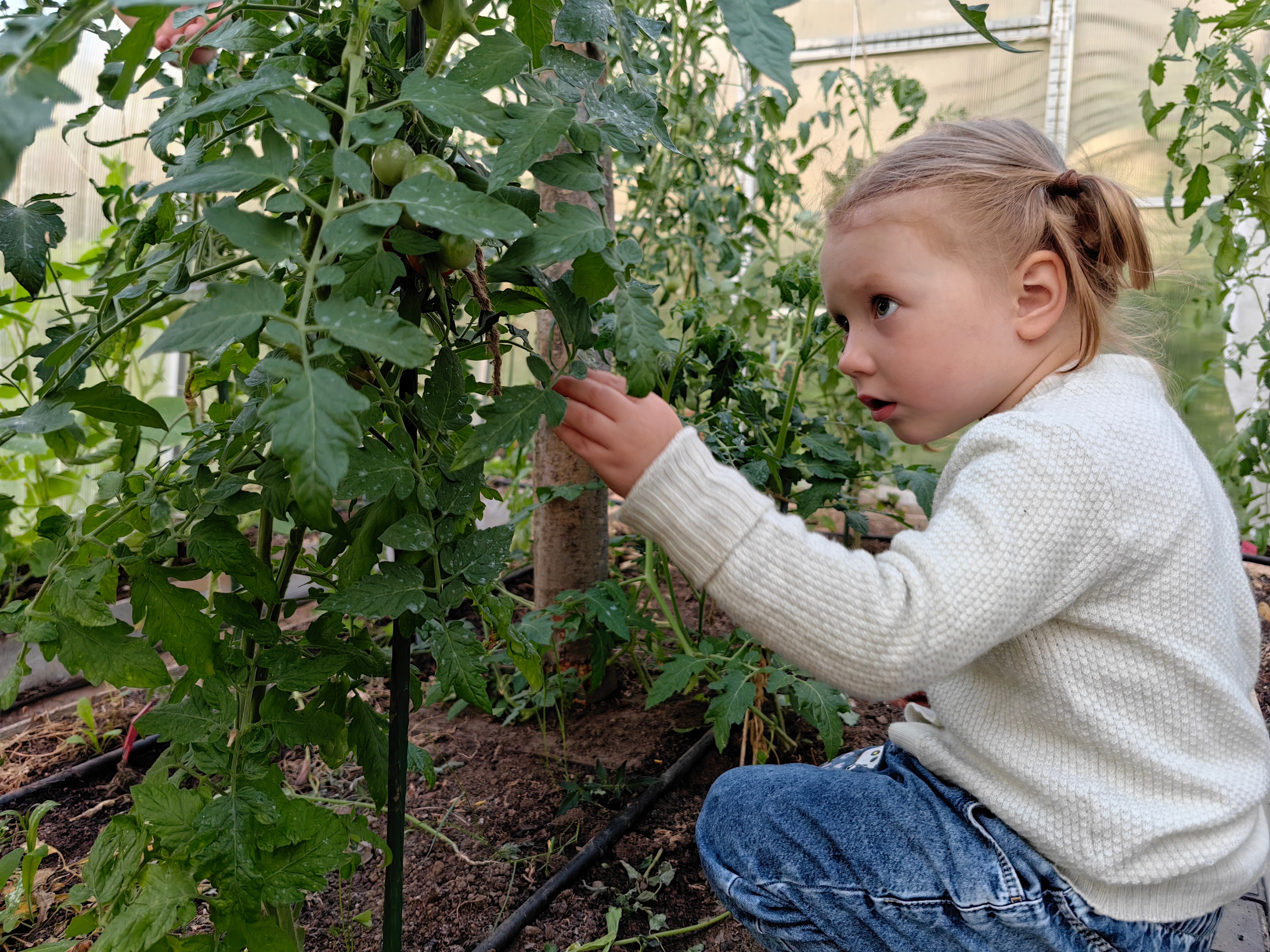 Галерея Huawei p60. Константин Устинов — фотограф