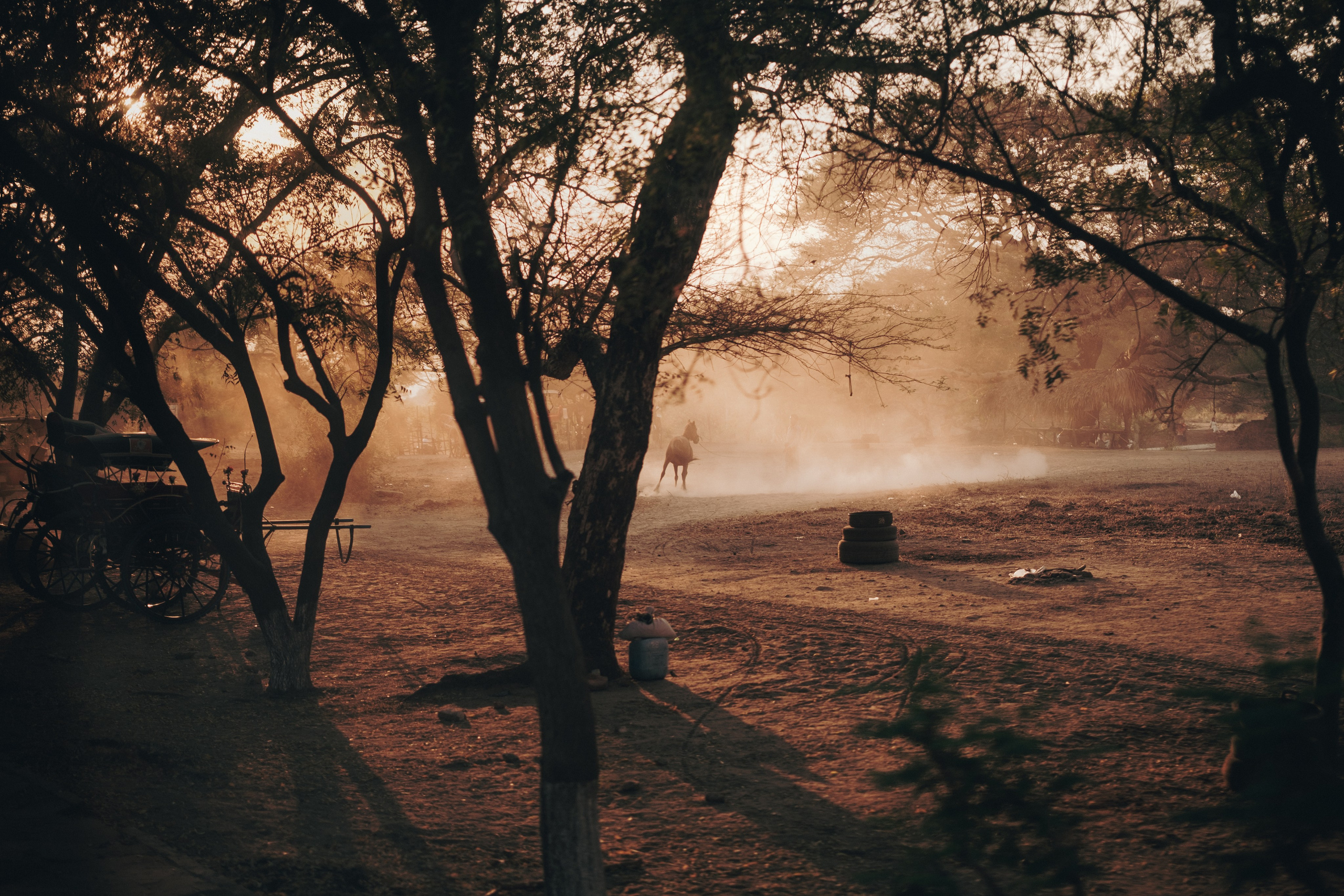 Myanmar. Dmitry Ippolitov