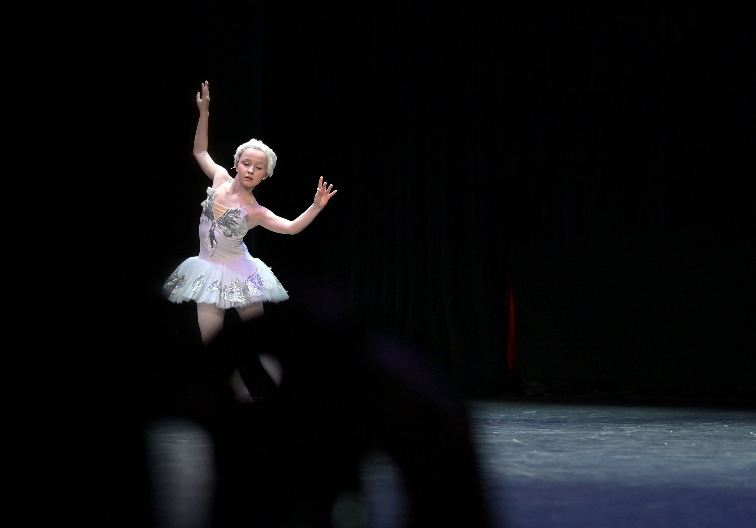 ART | FASHION | PODIUMS |SHOW