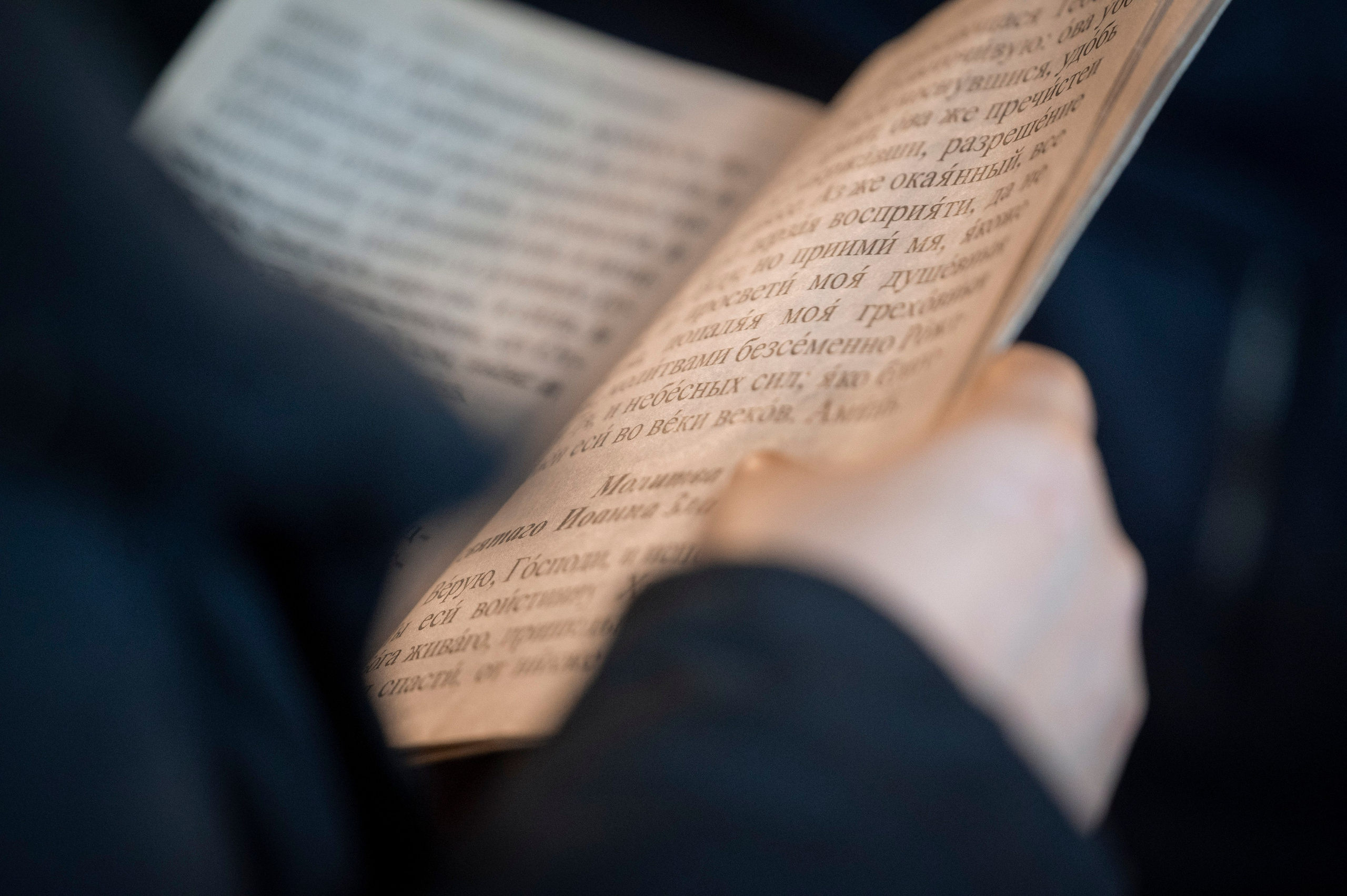 Богородский храм. Вход Господень в Иерусалим. Божественная литургия. Антон и Татьяна Денисенко — В храме