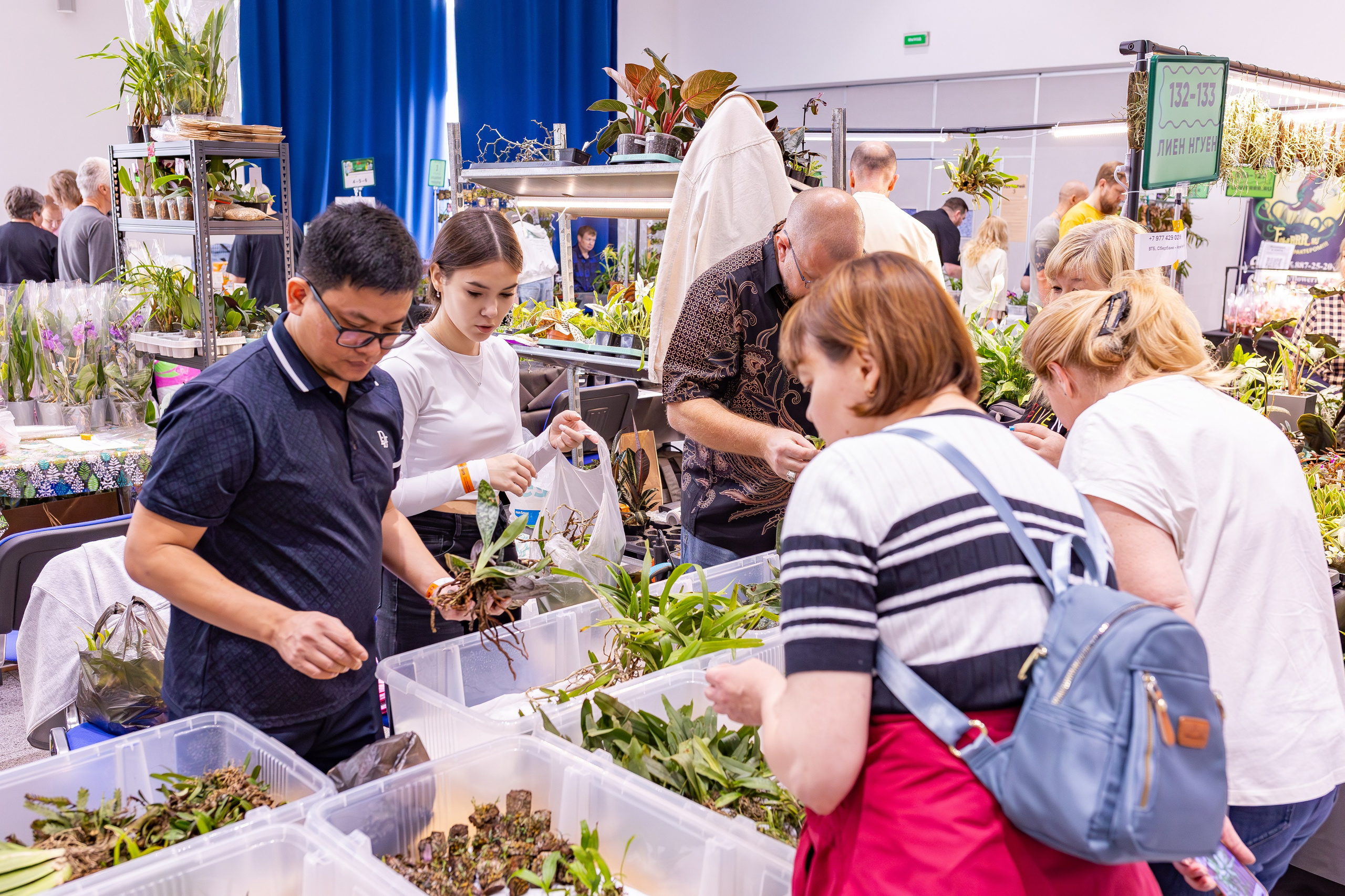 Орхидиум сентябрь 2025. Александра Куликова фотограф, Москва