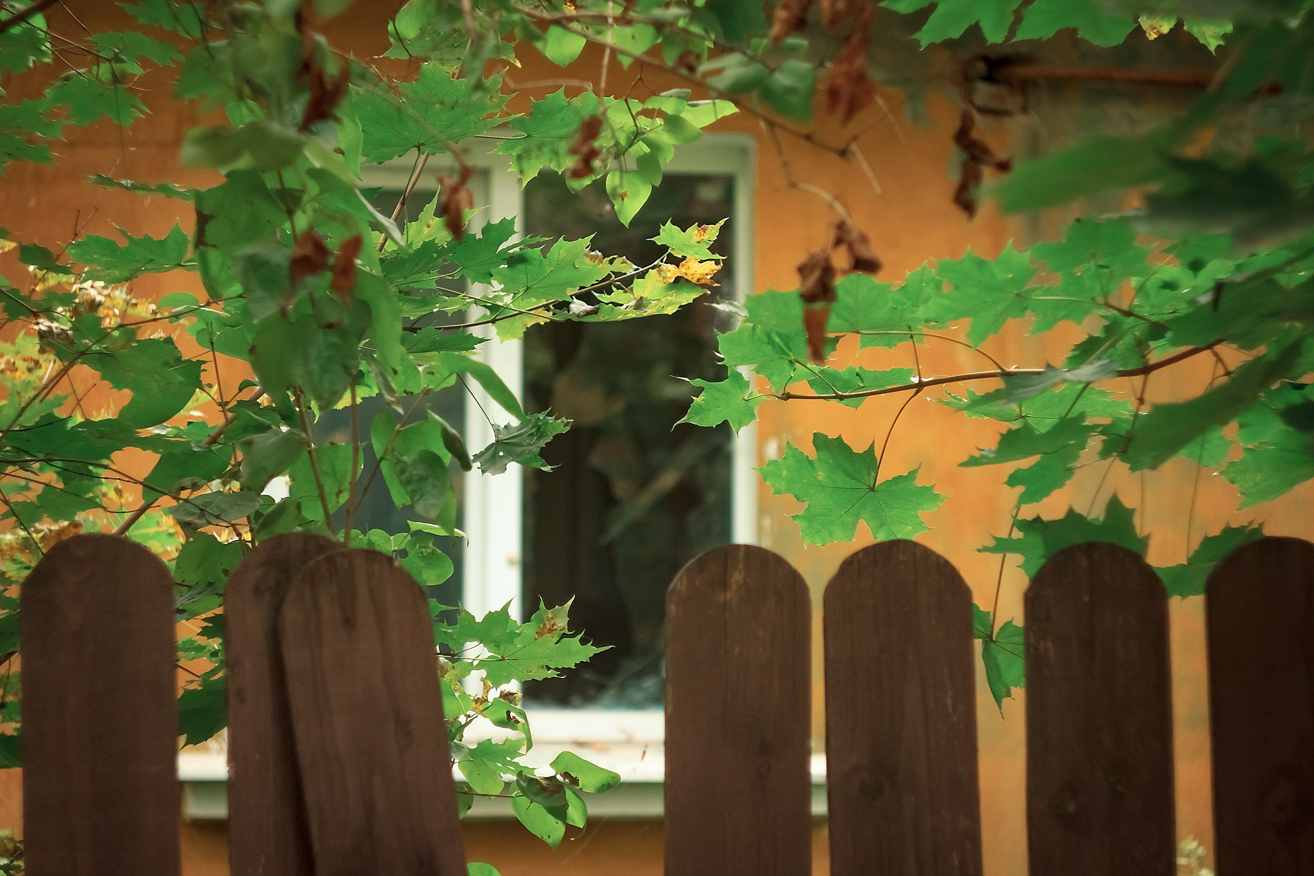 Наш Дом — Земля. Аmat Victoria Сuram