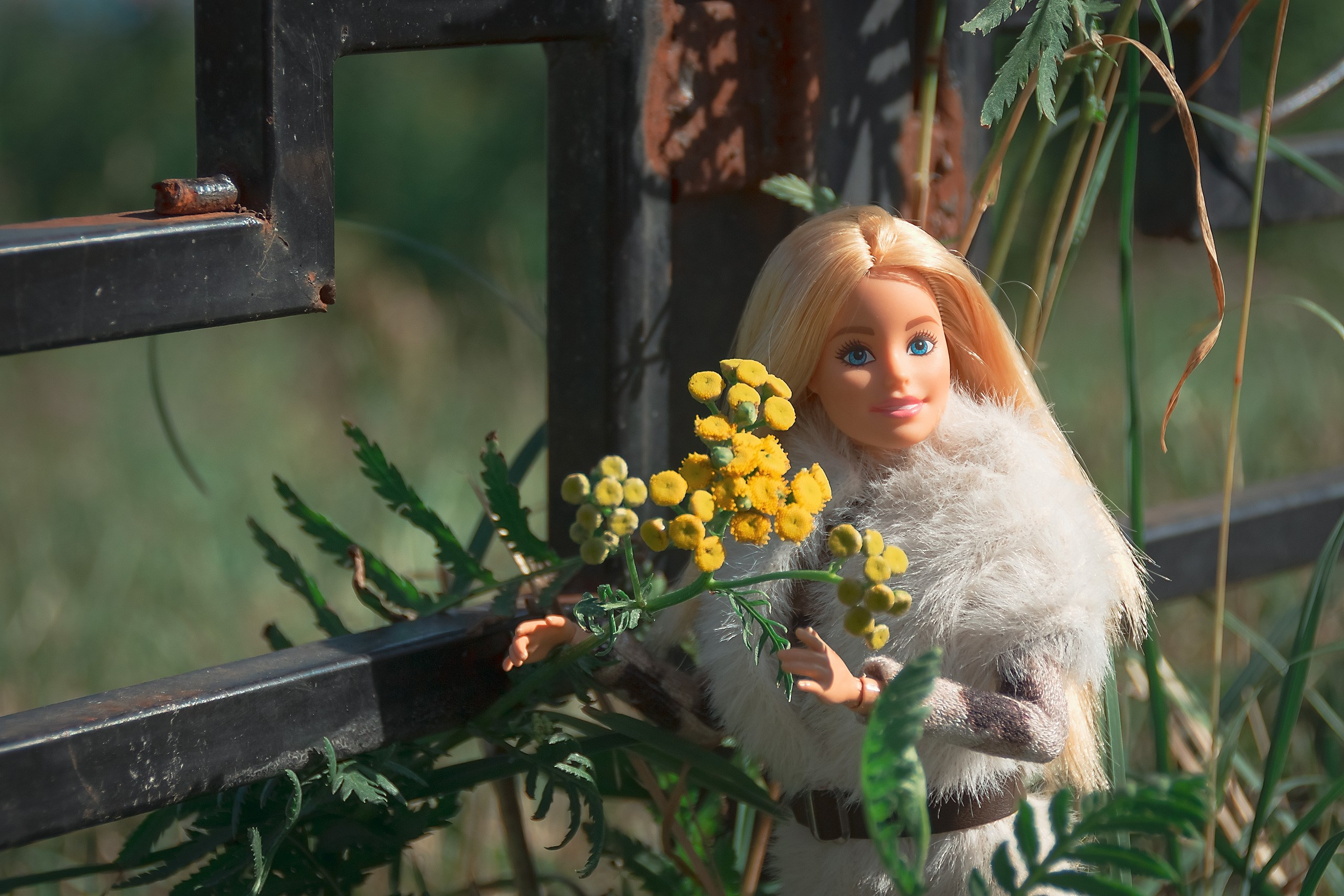 Сказка — Быль. Аmat Victoria Сuram