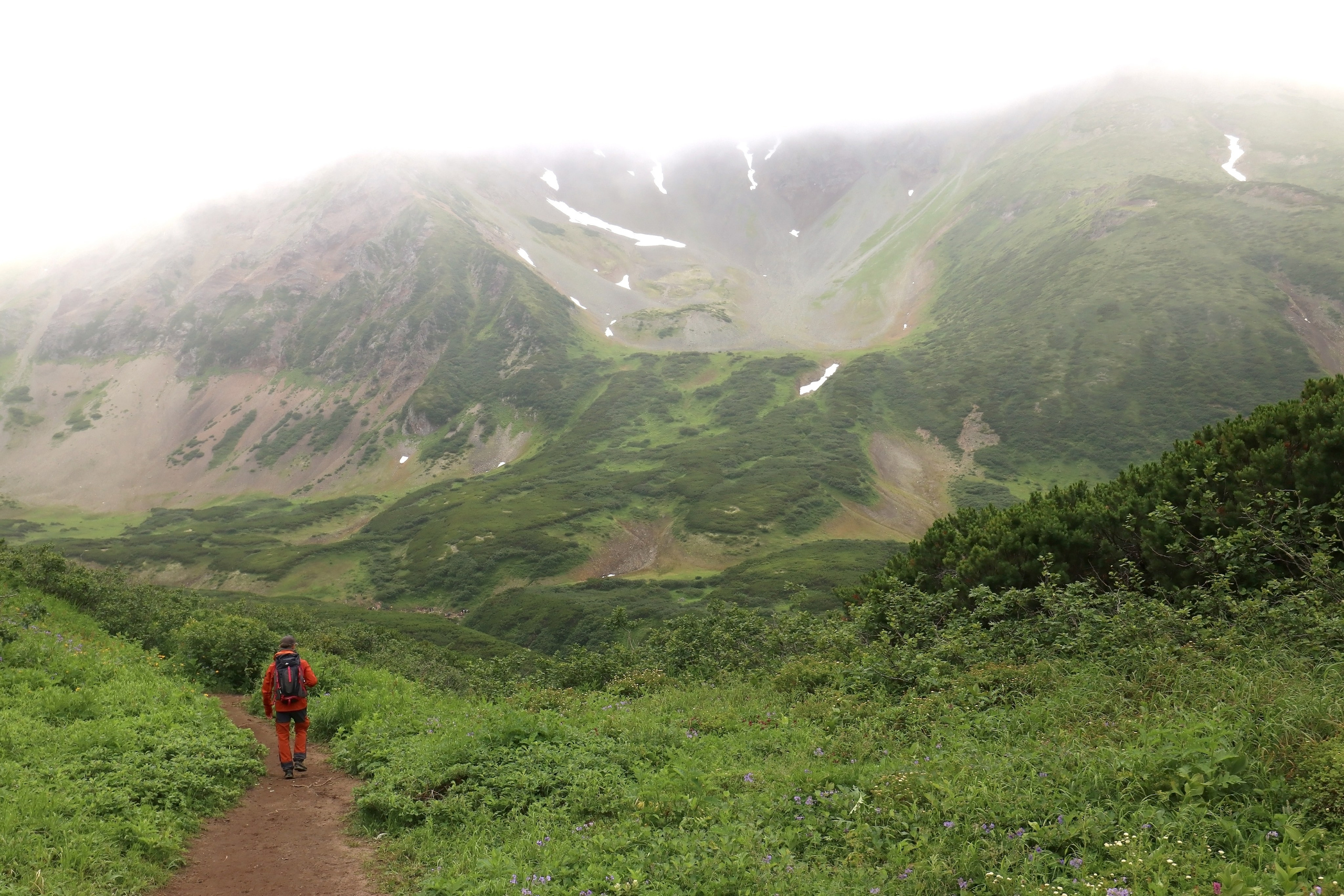 Камчатка и о. Парамушир. Июль 2024. Путешественник-фотограф из Санкт-Петербурга Татьяна Свистулина