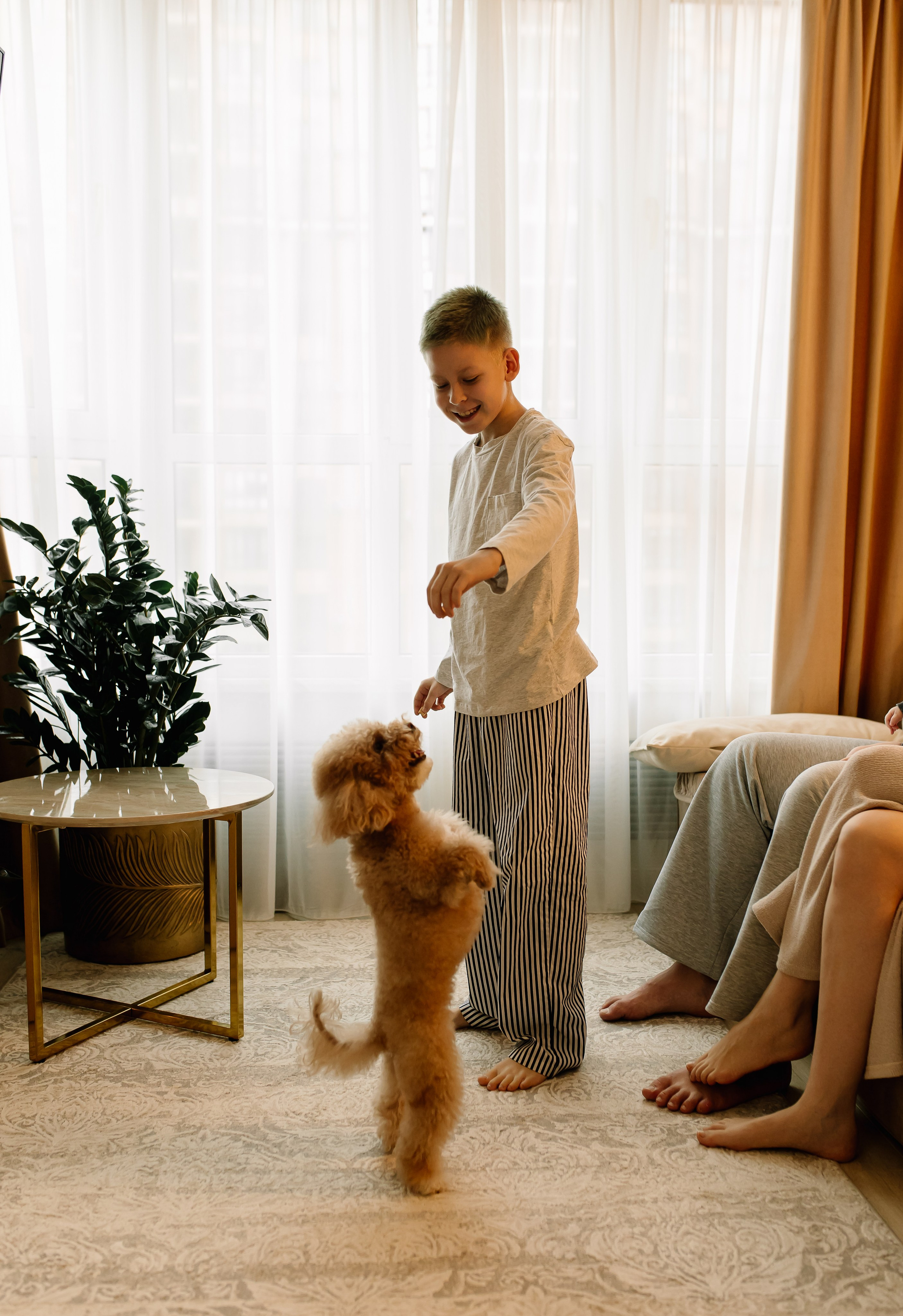 Домашняя история. Meryfotoidea