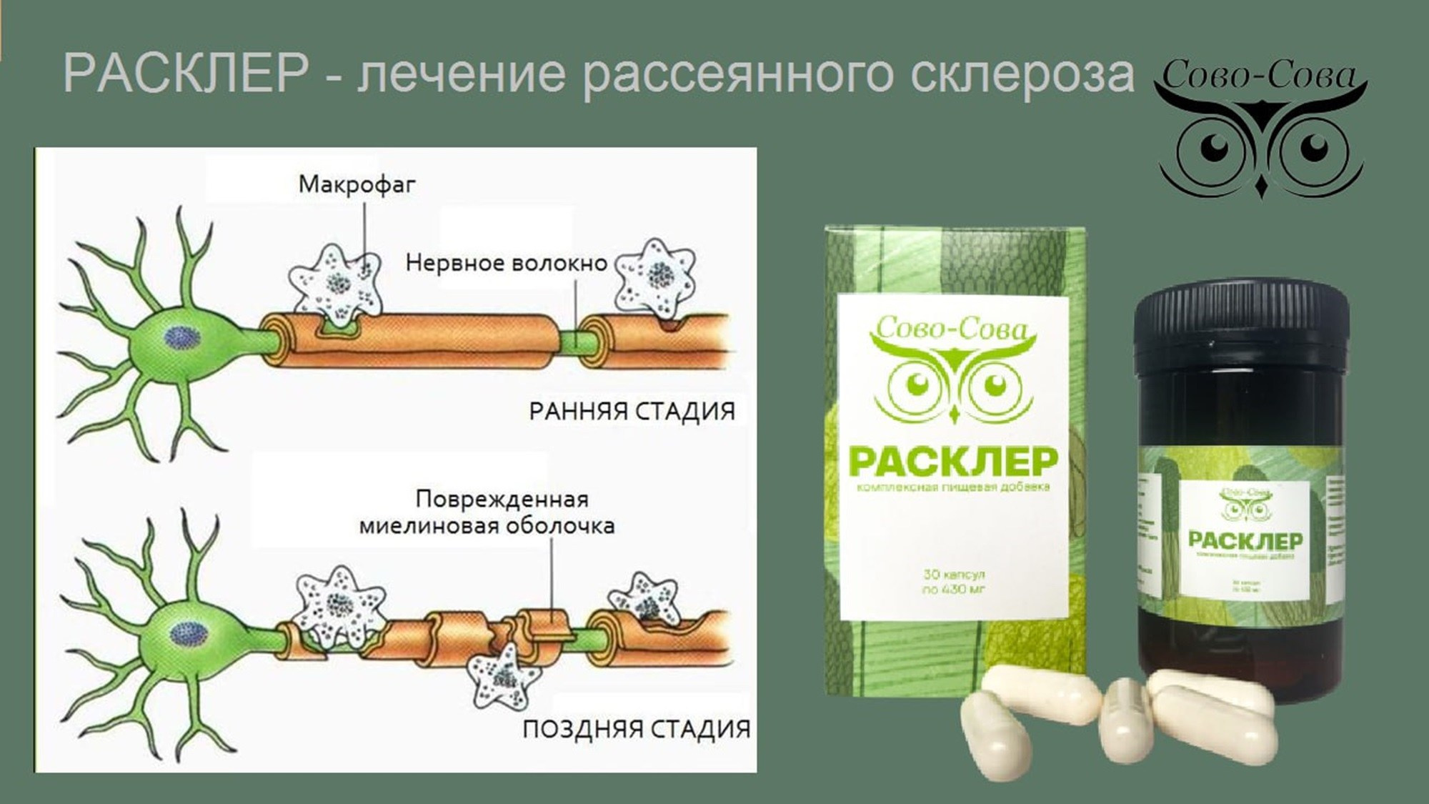 КПД компании Сово-Сова. Сово-Сово — Омоложение и оздоровление!