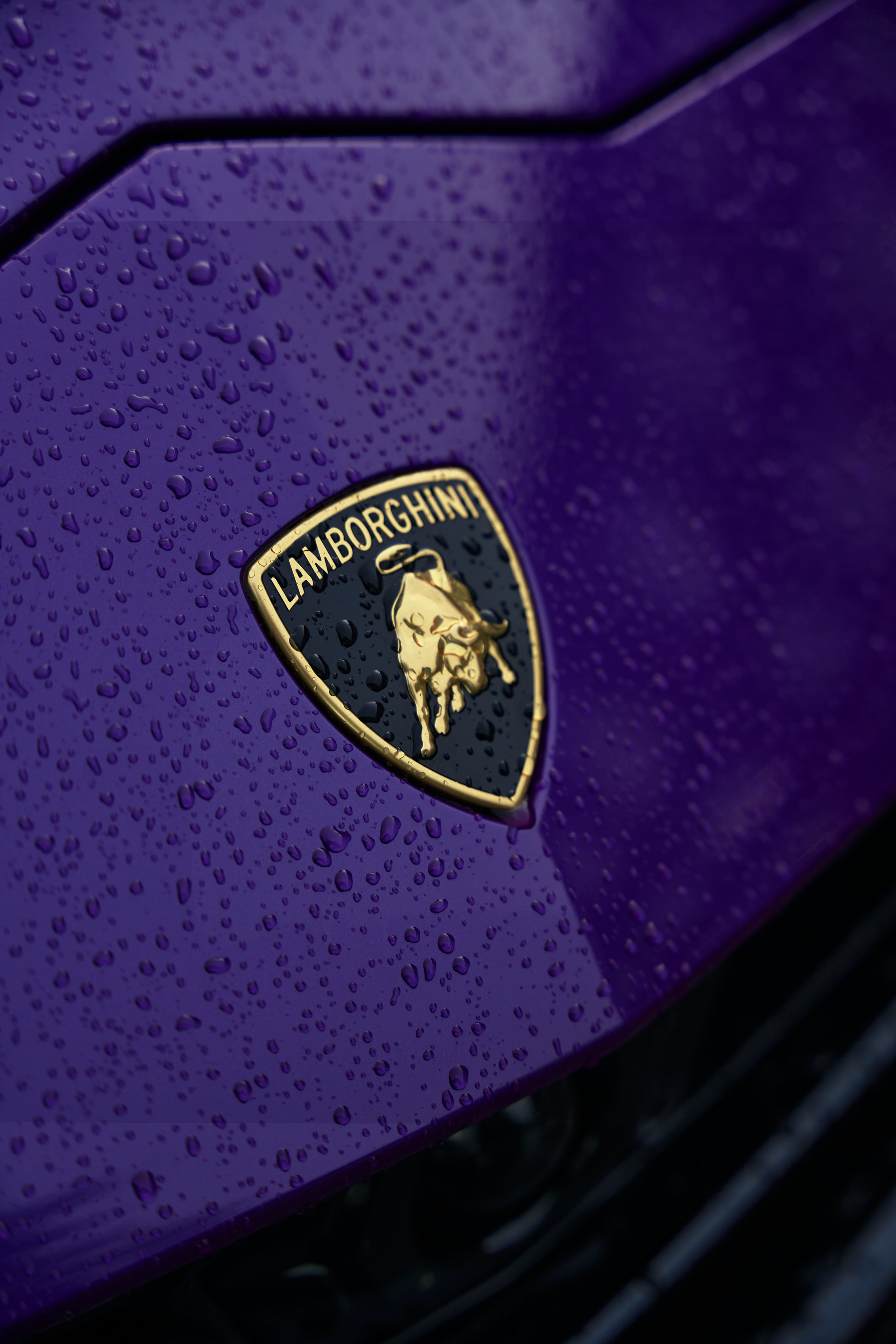 Автомобили