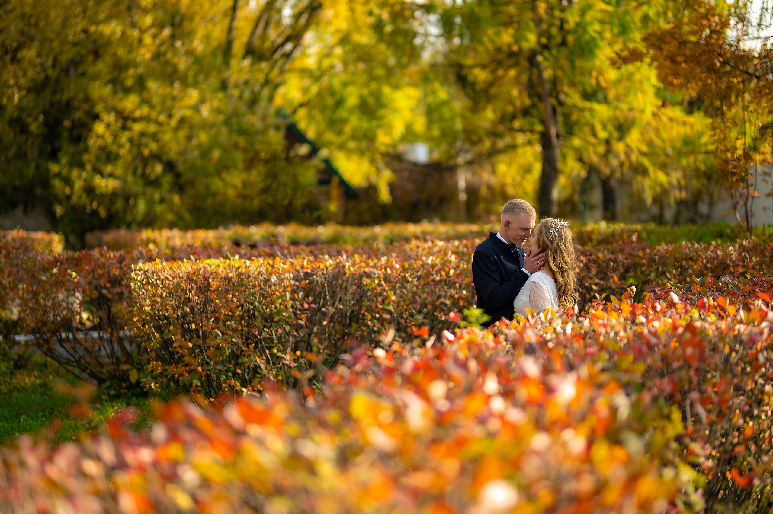 Владимир и Ирина. ProfotoNK