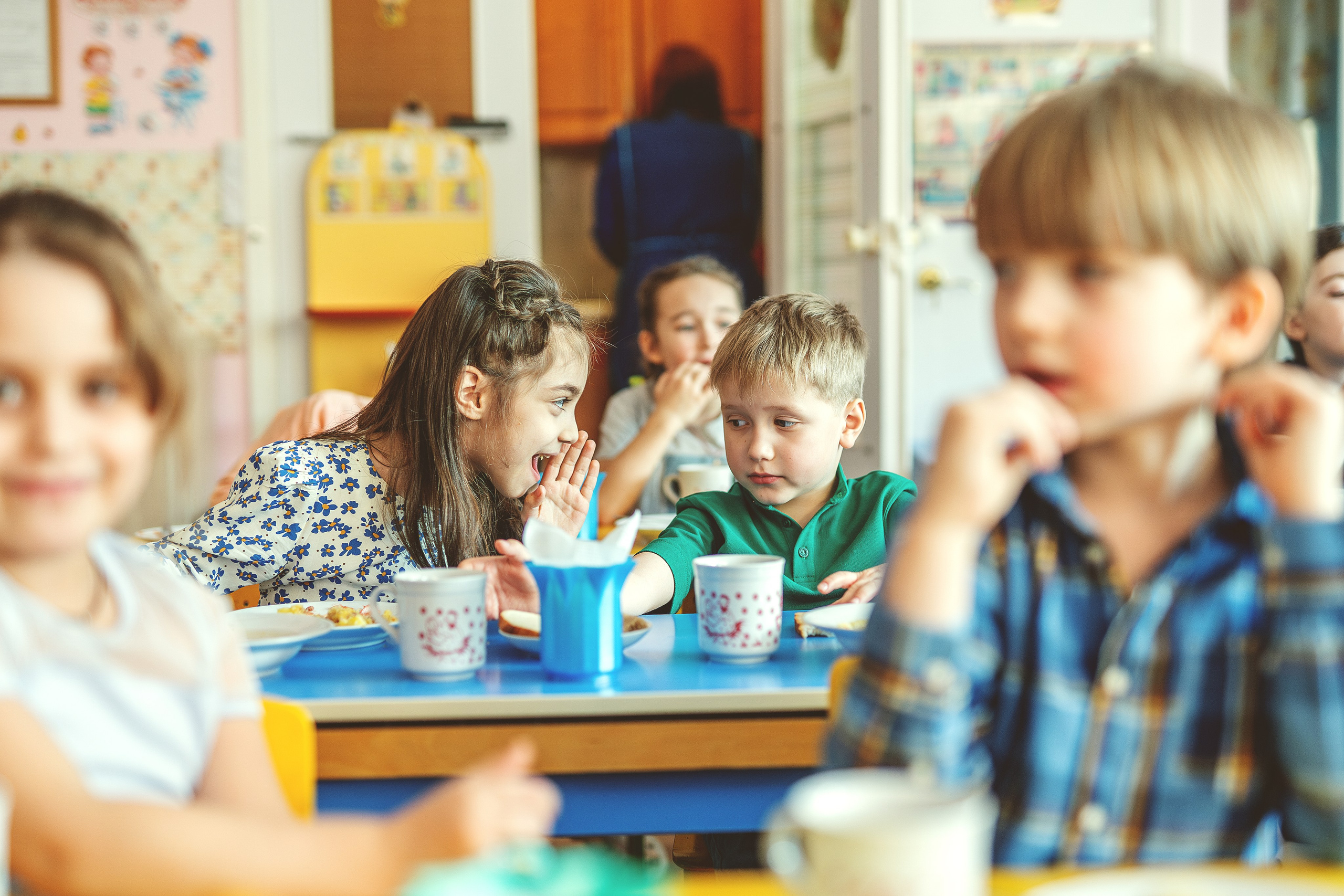 Сад 3. Школьные альбомы и альбомы для детского сада. Юлия Осипова. Москва