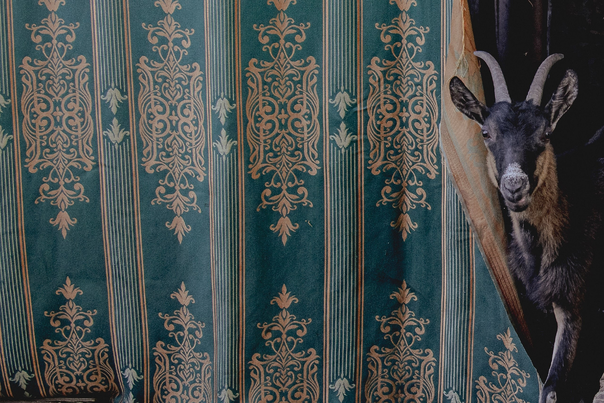 Цветные фотографии. Фотографии Лены Соколовой