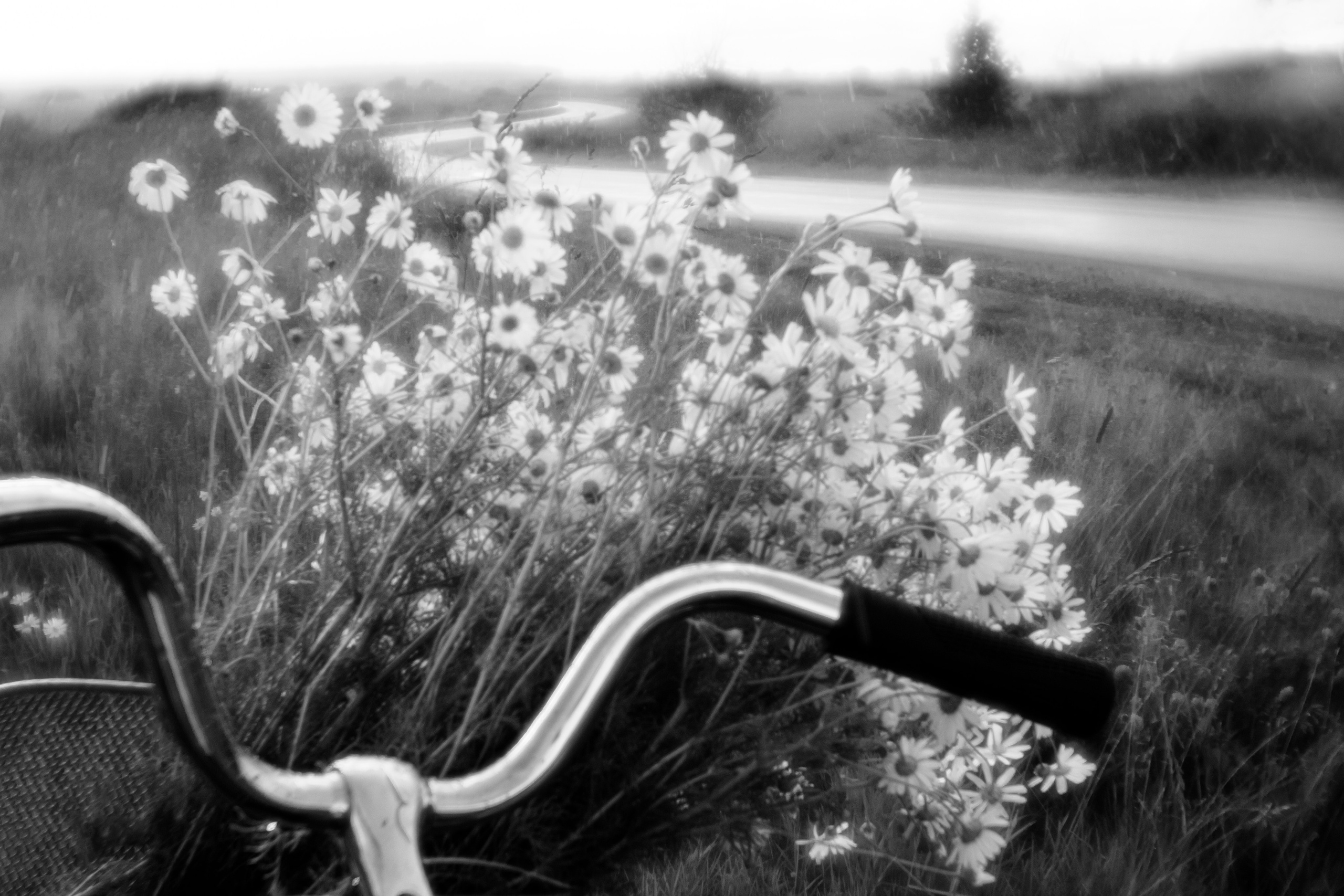 Ч.б. фотографии. Фотографии Лены Соколовой