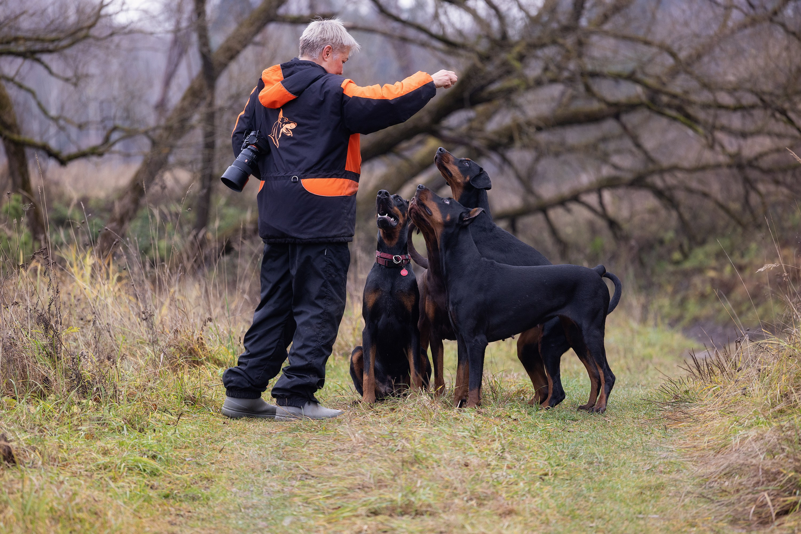 Собака и человек. Boldinova Yulia фотограф Москва