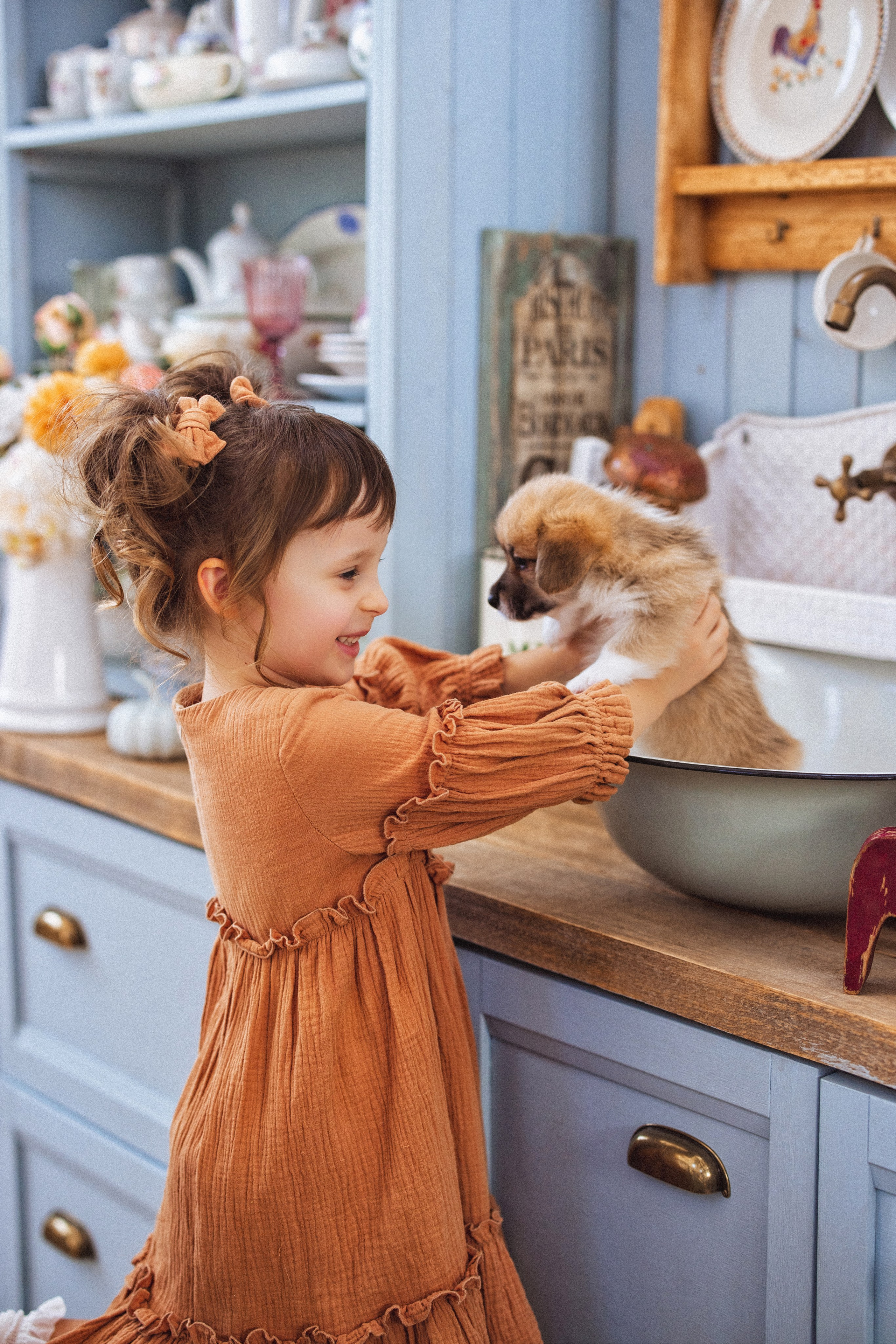Фотосессия с щенками Корги, в фотостудии Ольги Сурухановой, город Краснодар. Семейный и детский фотограф в Краснодаре Анна Трашкова