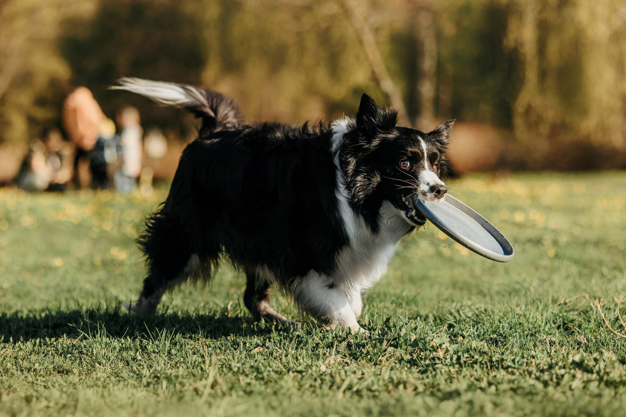 Аня и Иден. Фотограф-анималист Елена Радченко, Москва