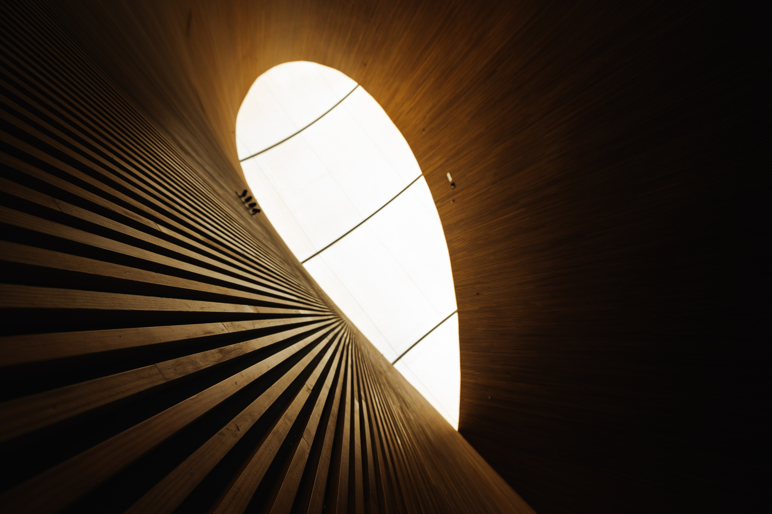 Дубай 2023. Руслан Плахтеев