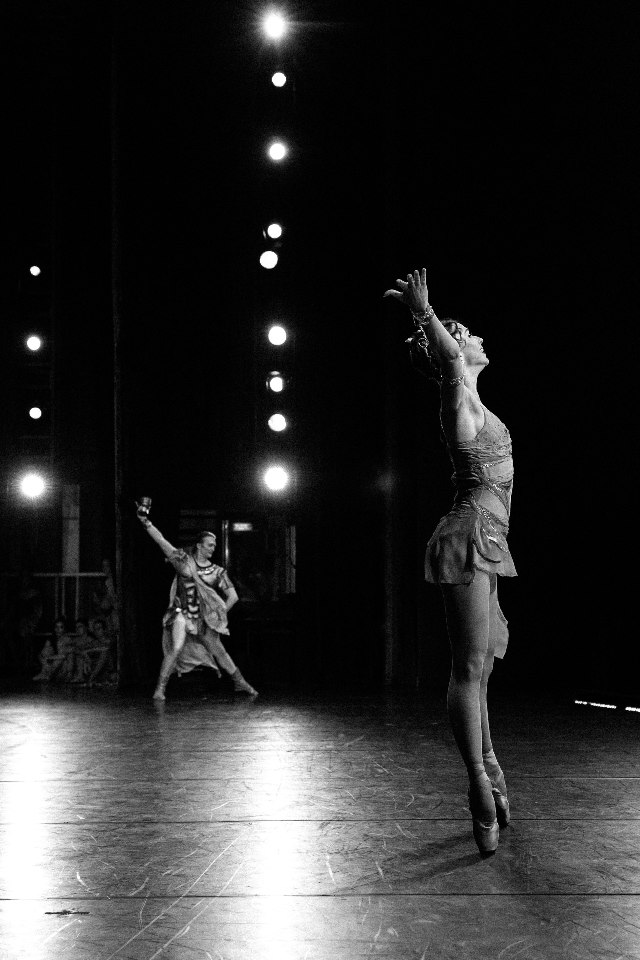 Спартак. Фотограф в Краснодаре Лагунов Владимир