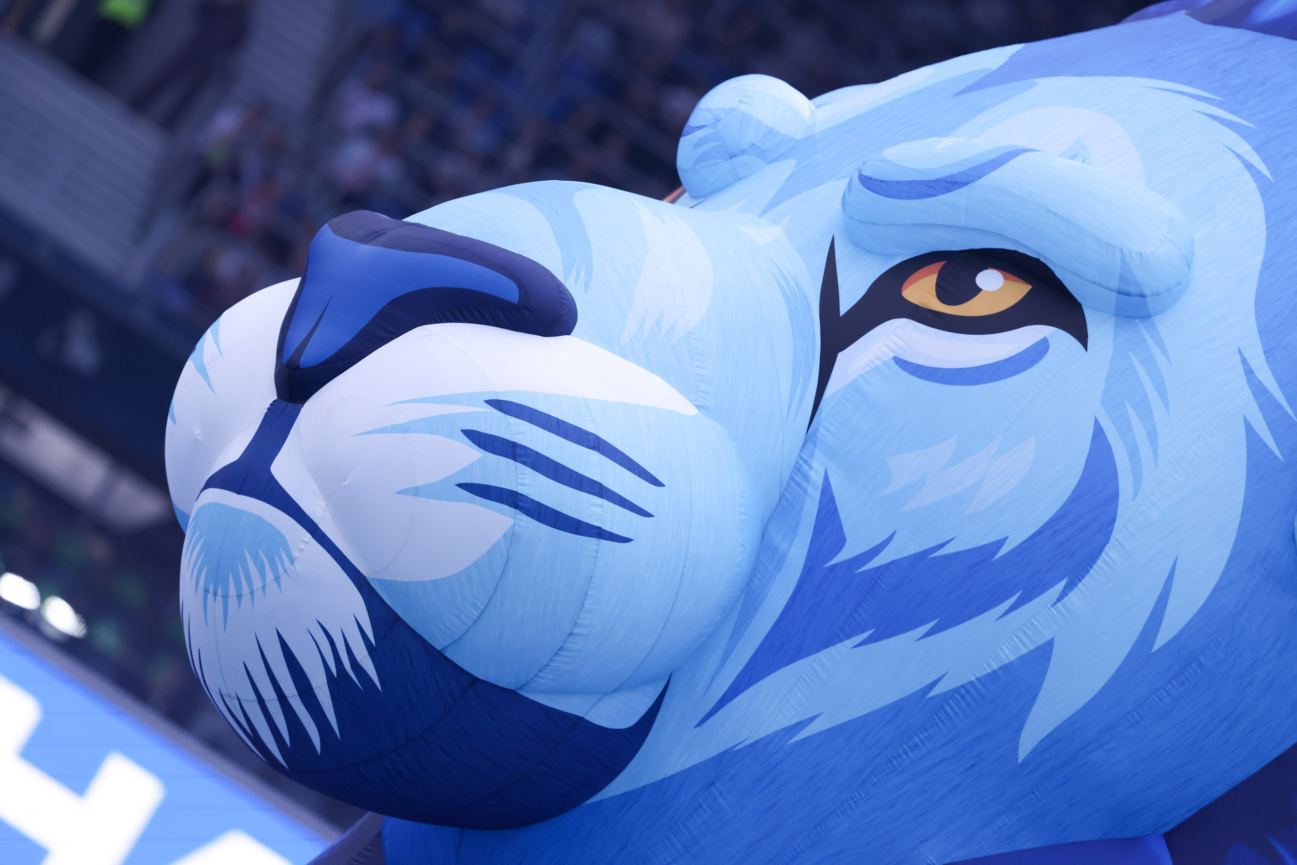 ФК «Зенит» — ФК «Пари НН» 30.08.2025. Спортивный и репортажный фотограф Антон Тереханов