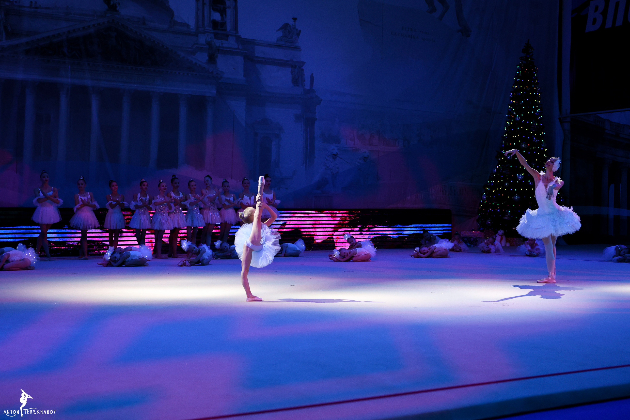 «В гостях с сказки» 29 декабря 2022. Спортивный и репортажный фотограф Антон Тереханов