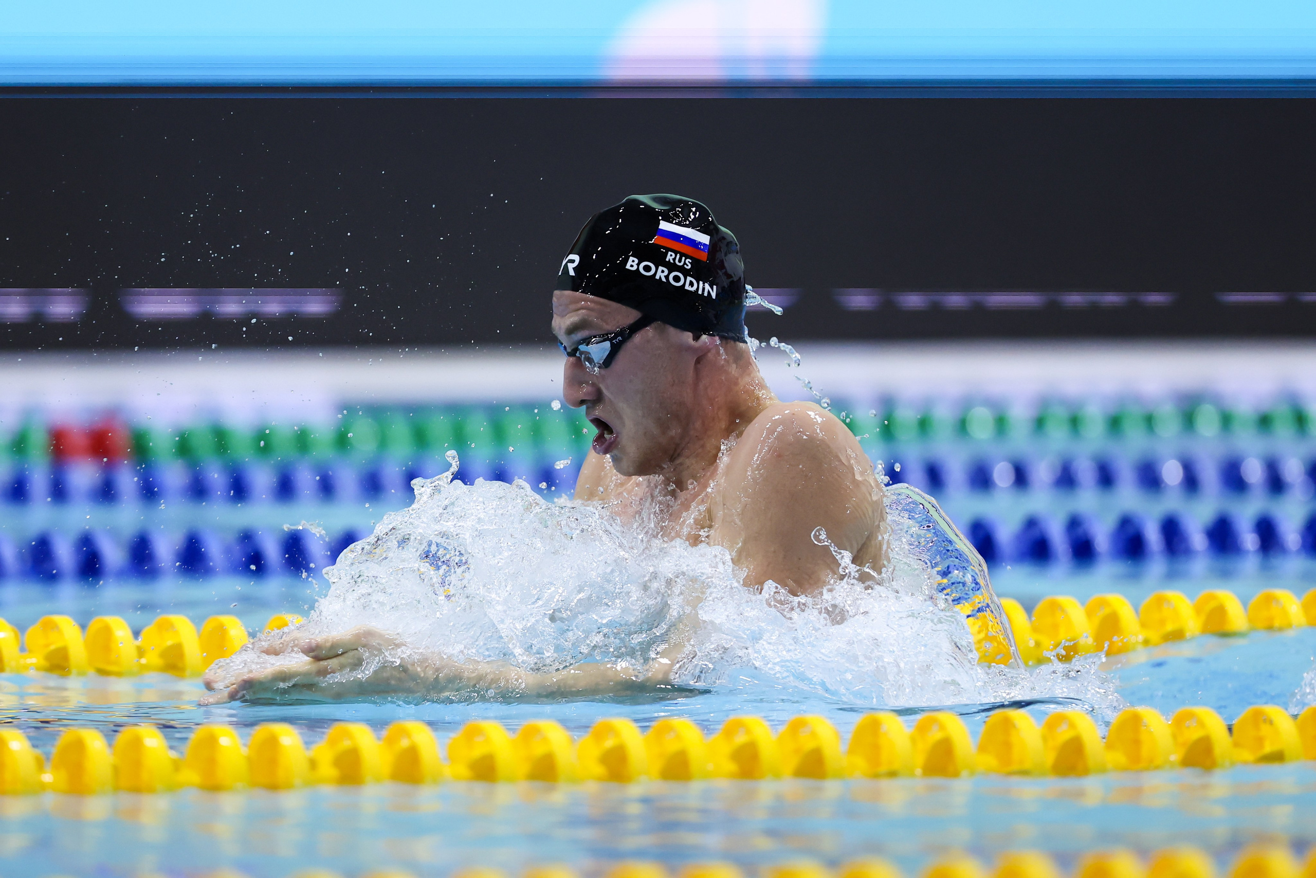 Чемпионат России по плаванию 25 м 21-26.11.2024. Спортивный и репортажный фотограф Антон Тереханов