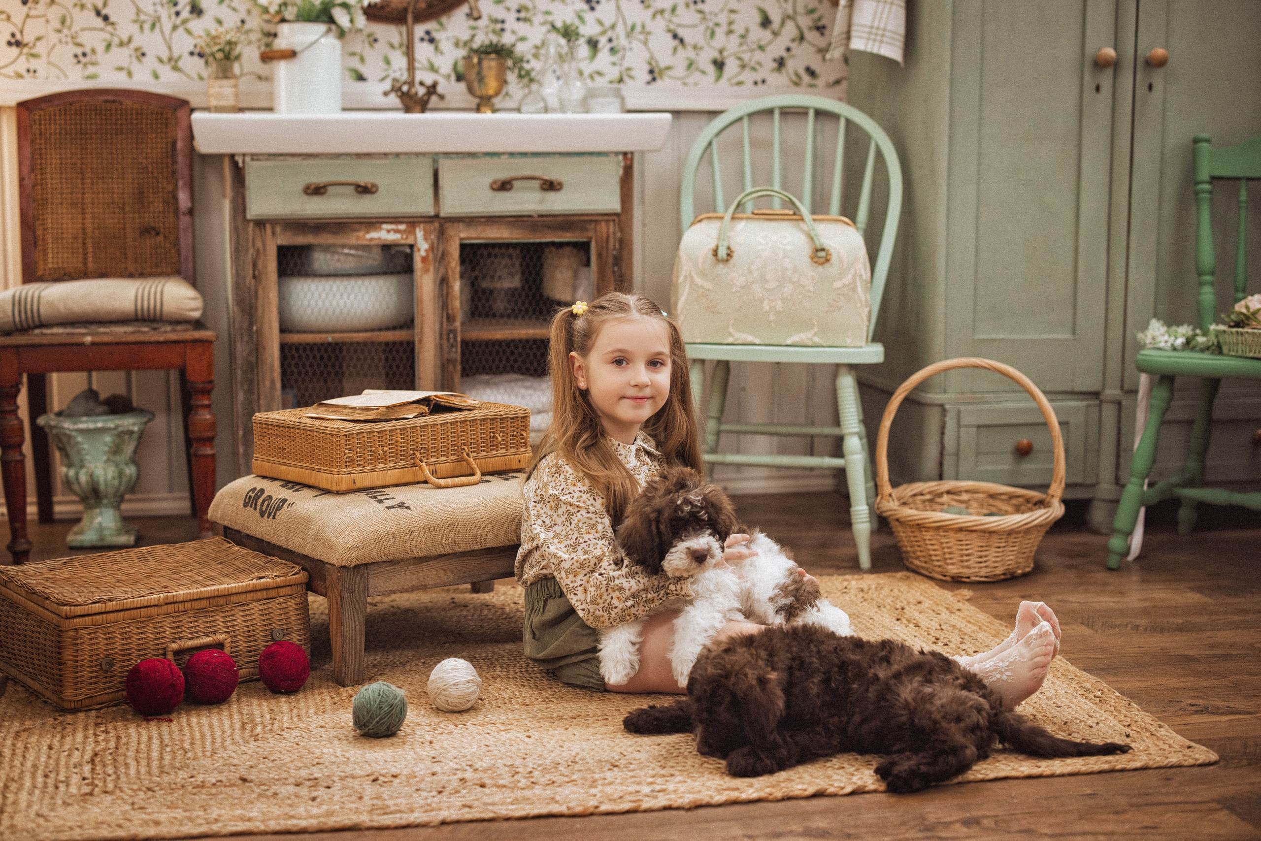 Фотосессия с щенками Лаго́тто-романьо́ло, в Винтажной фотостудии город Краснодар. Семейный и детский фотограф в Краснодаре Анна Трашкова