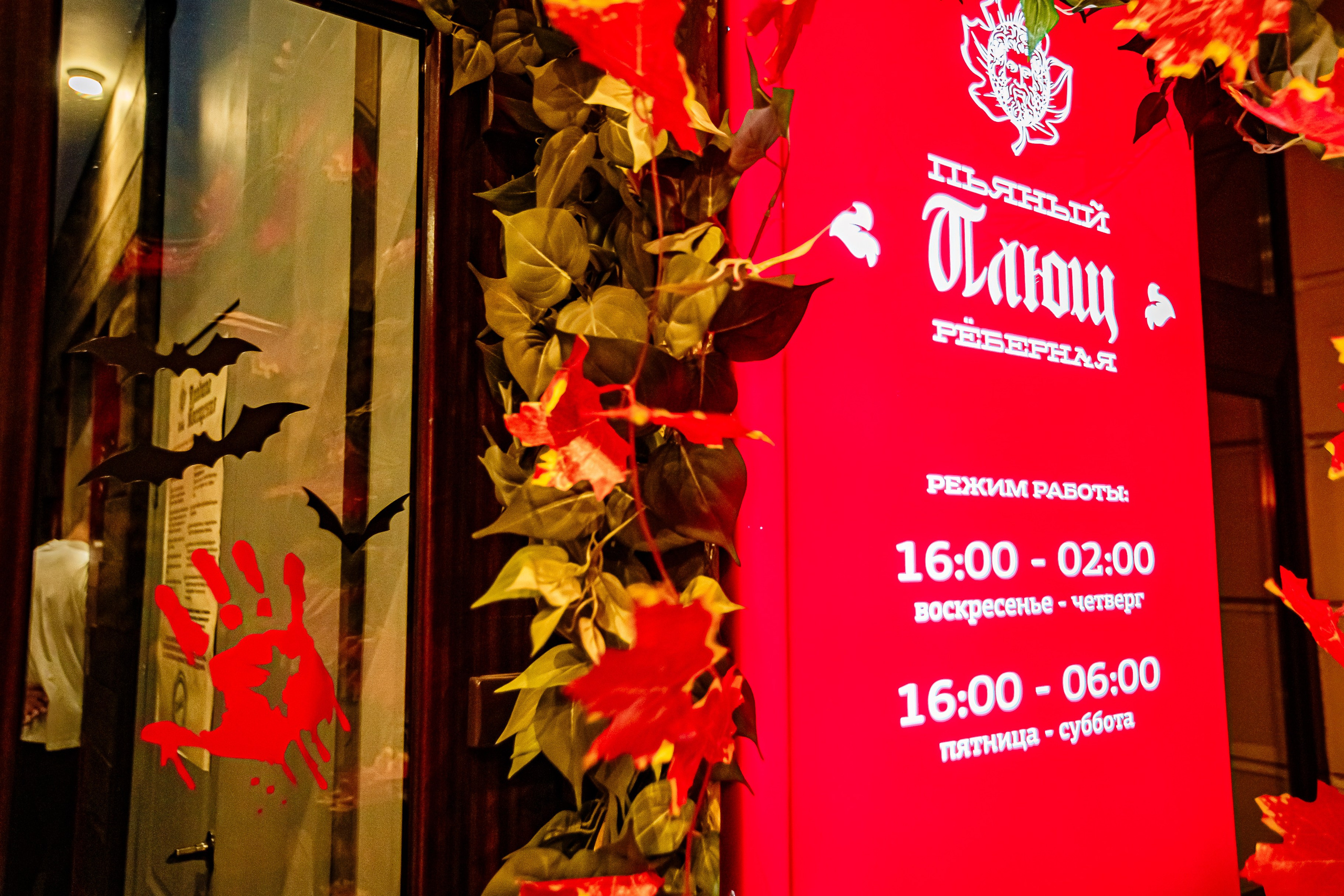 Пьяный плющ «Halloween"_Симферополь_2.11.2024. Аминов Руслан | Фотограф