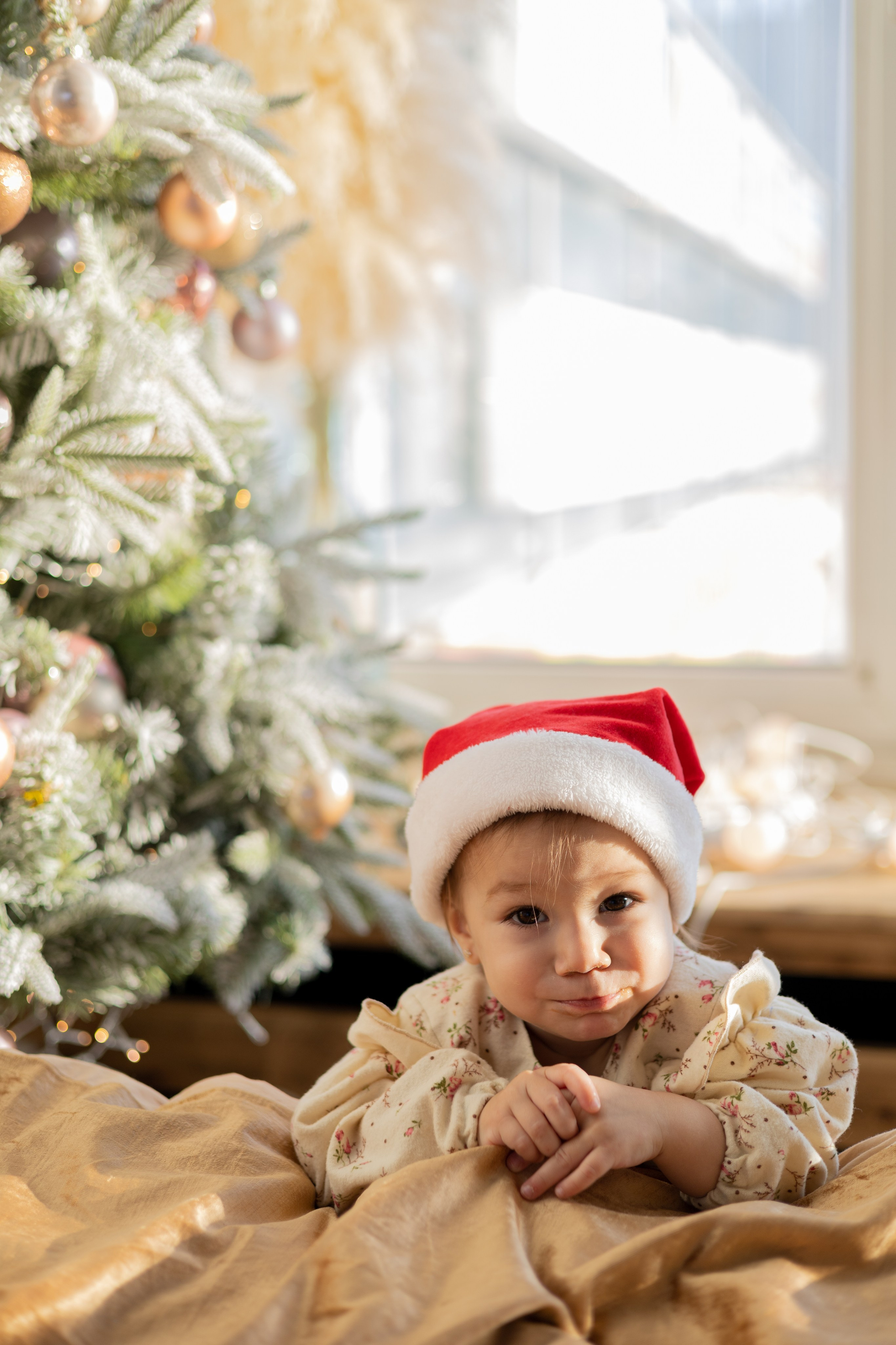 Семейная Новогодняя фотосессия. Фотограф Марина Кот