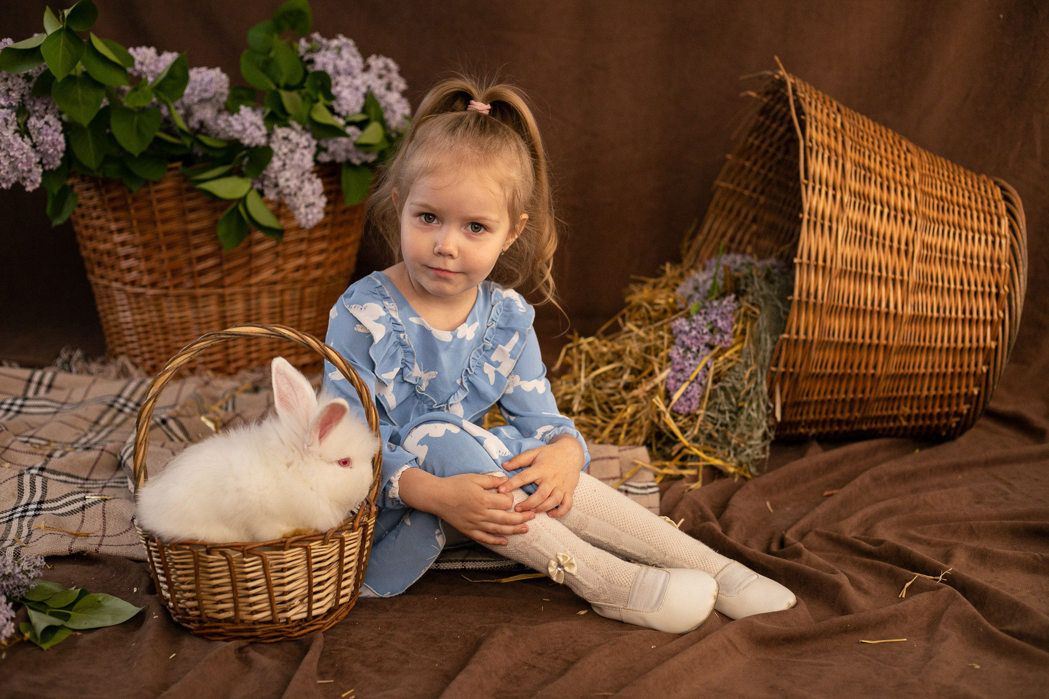 Кролики. Фотограф в Иркутске Тома Кабанова