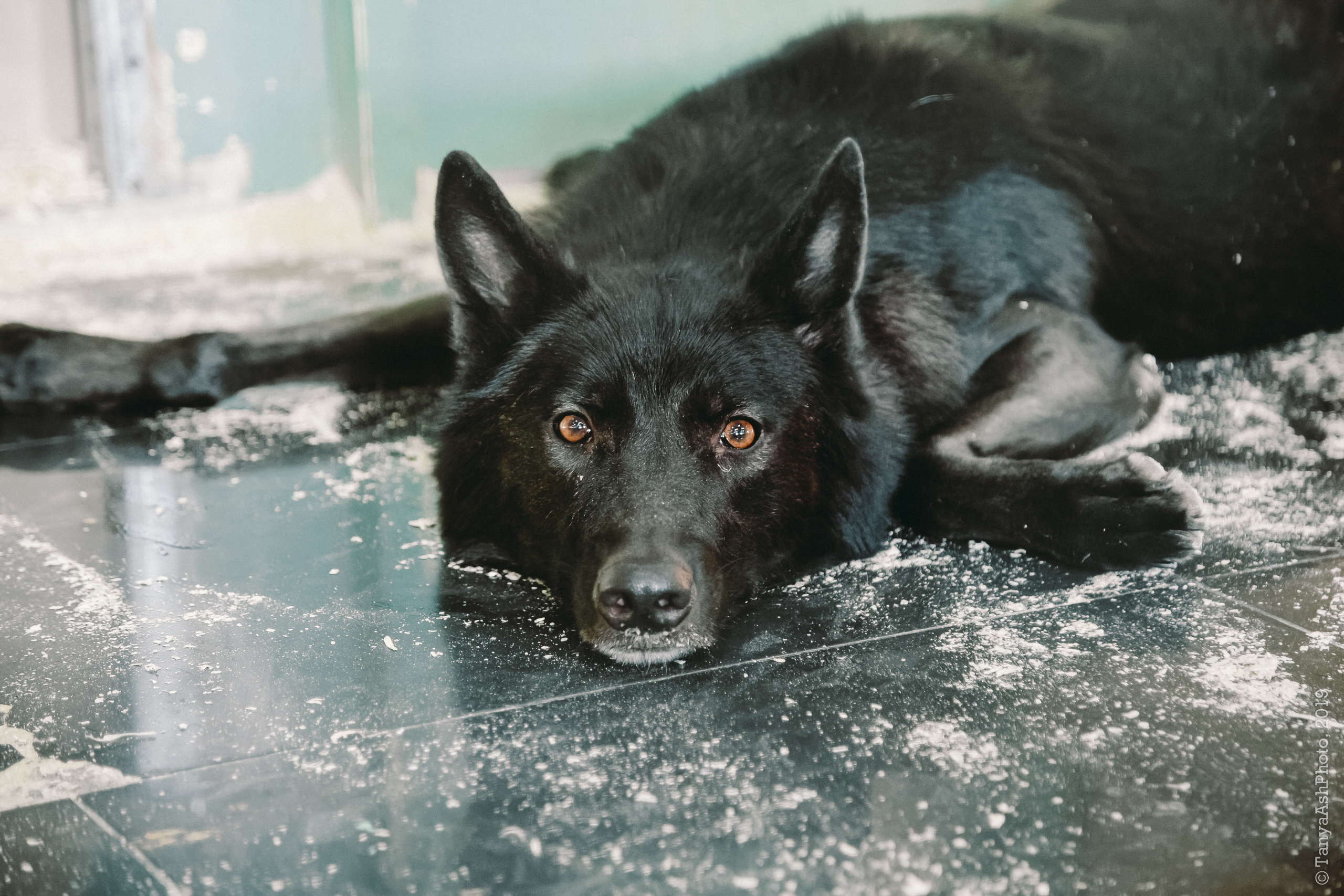 Контактный зоопарк "Зверюшки - не игрушки". Фотограф Сонкина Татьяна