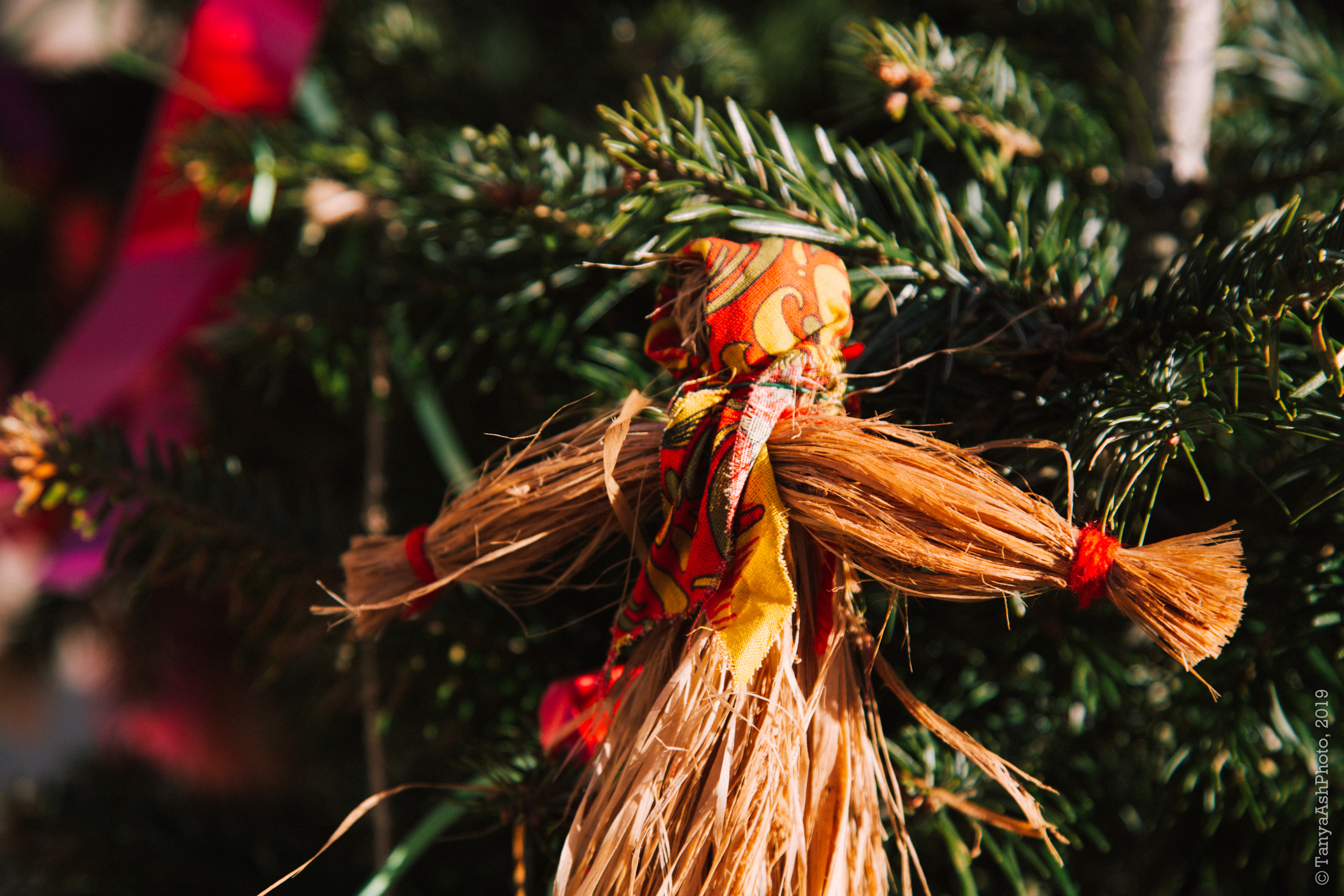 Фестиваль Московская Масленица 2019. Фотограф Сонкина Татьяна