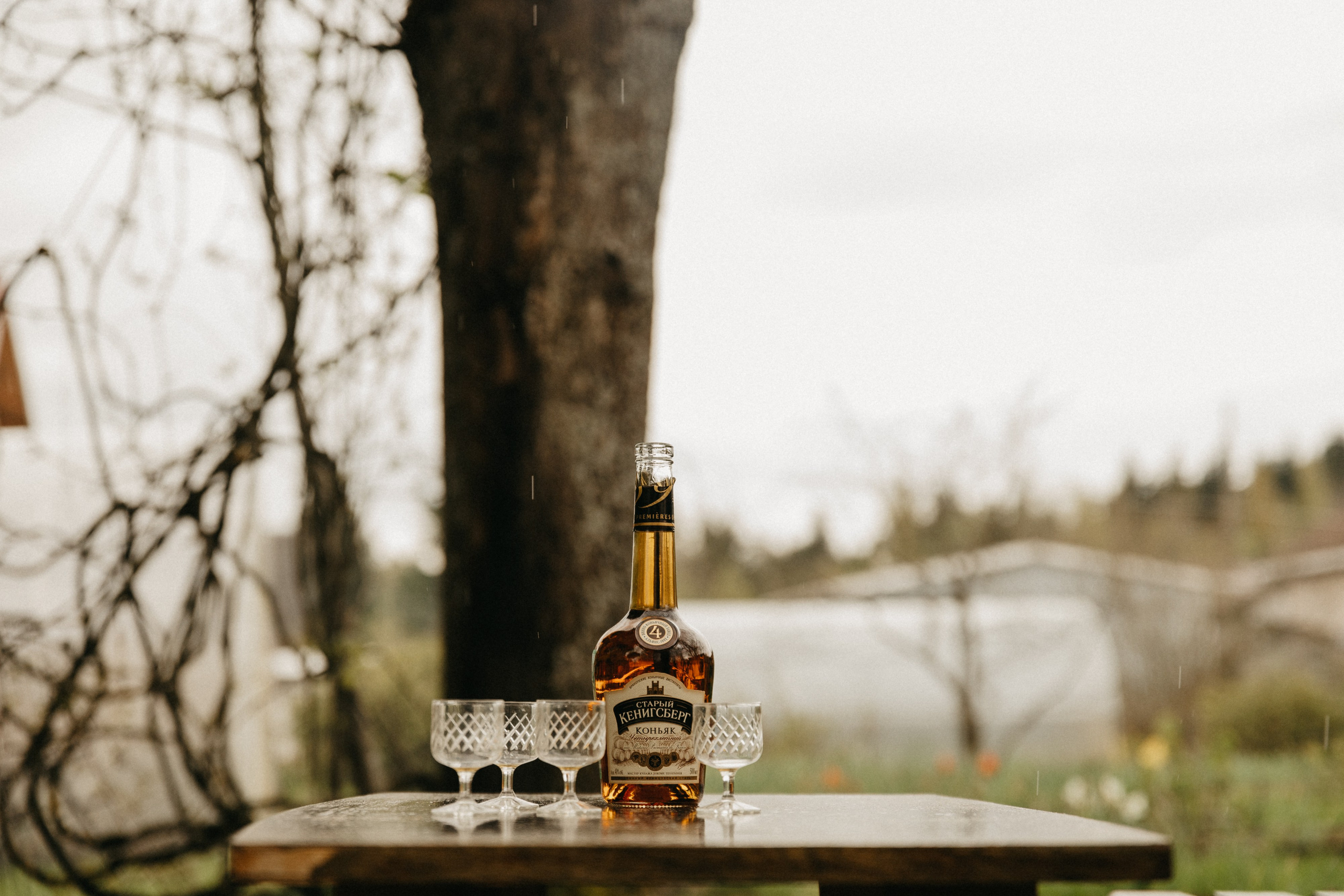 Юля, Митя, Ирина Александровна. Главная