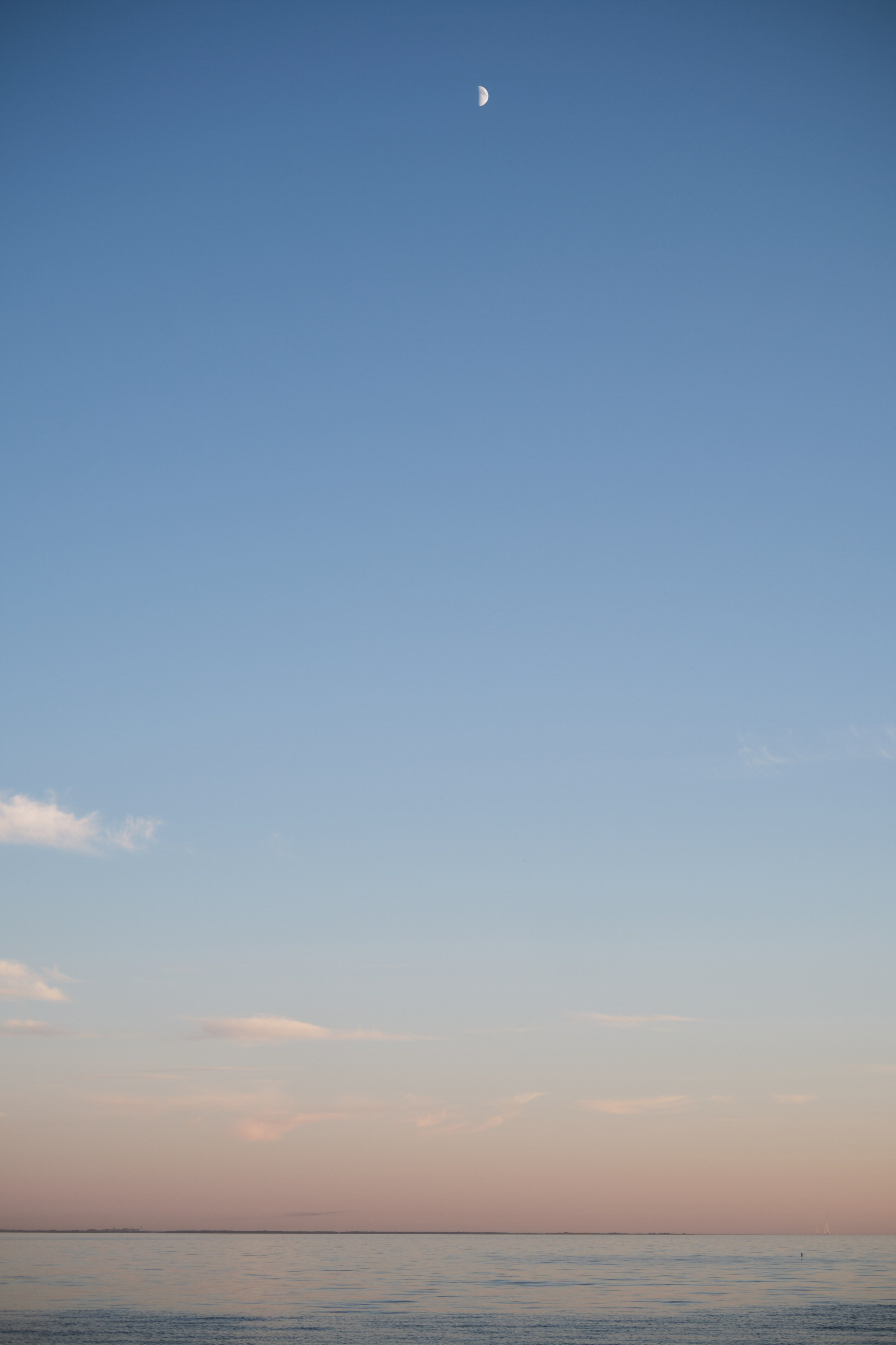 Анна и Дмитрий. Фотограф в Москве и Санкт-Петербурге