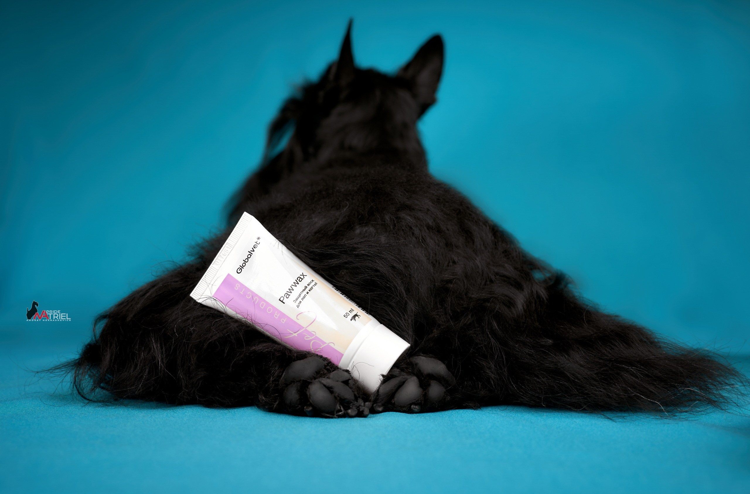 Реклама с животными — галерея NATRIEL