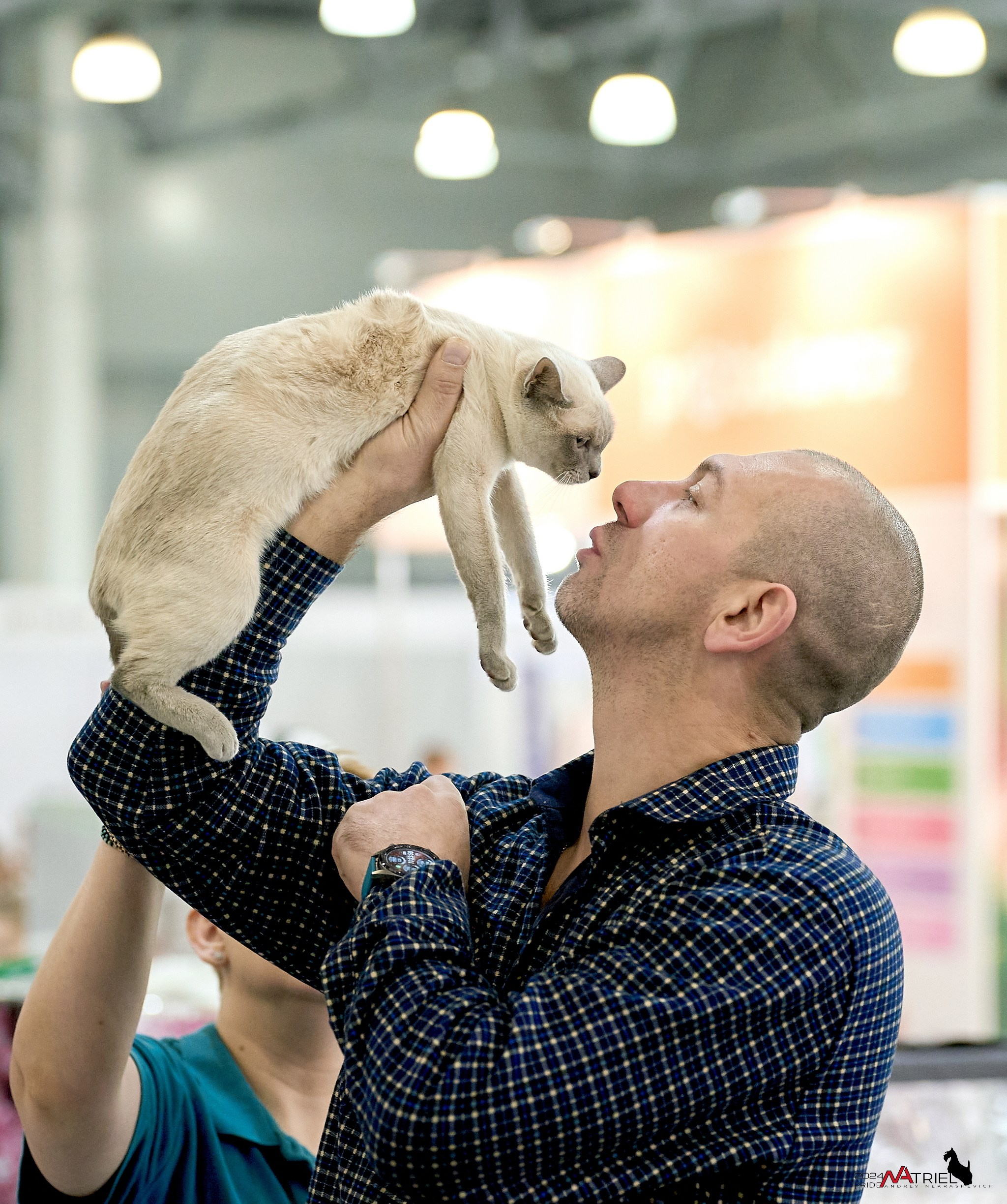 Выставки животных — галерея NATRIEL