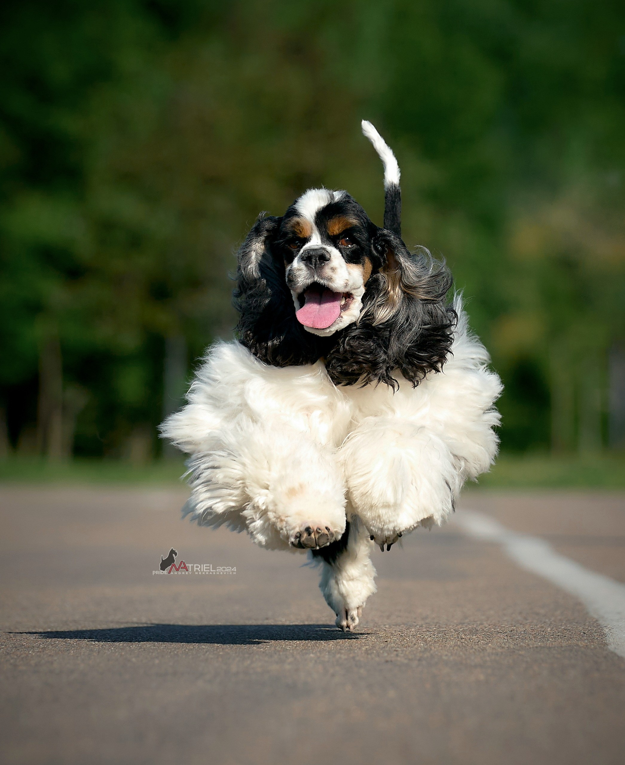 Прогулка в движении — галерея NATRIEL