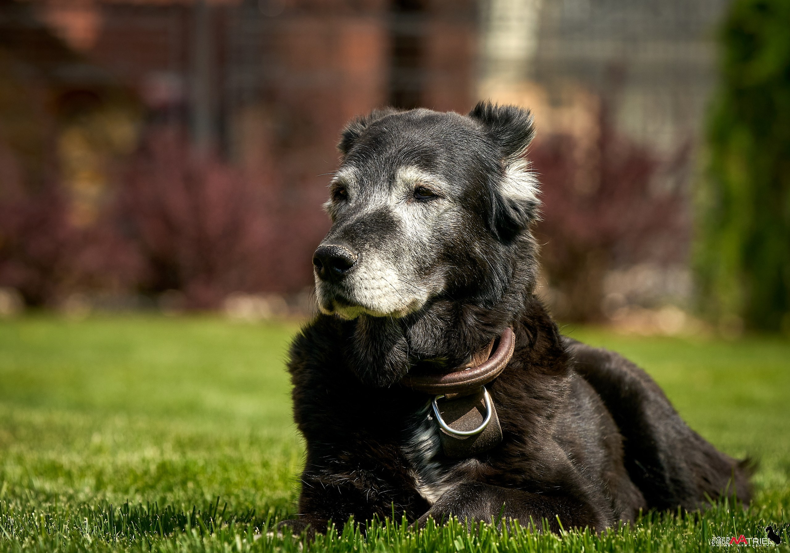 Съемка в питомнике