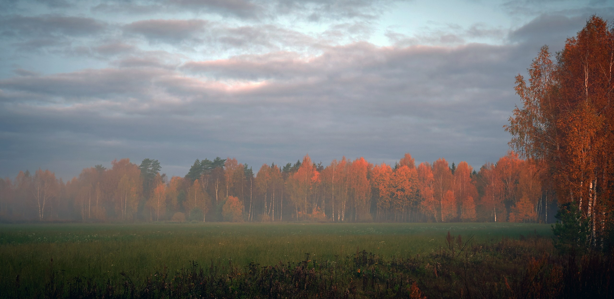 Пейзаж — галерея NATRIEL